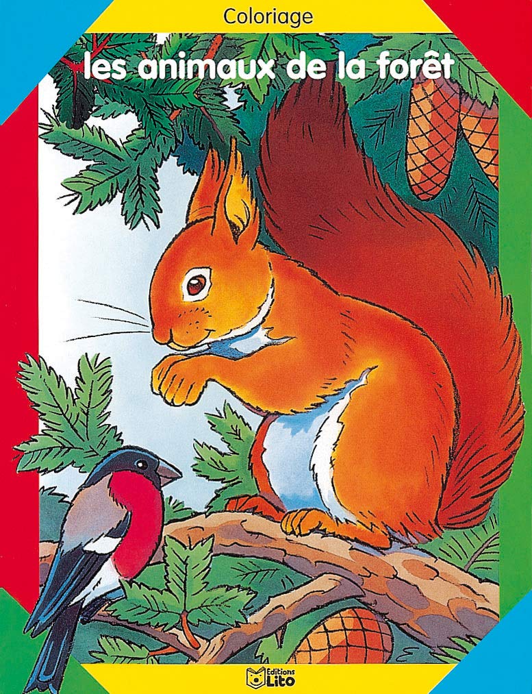 Les animaux de la forêt : Coloriage ( périmé ) book