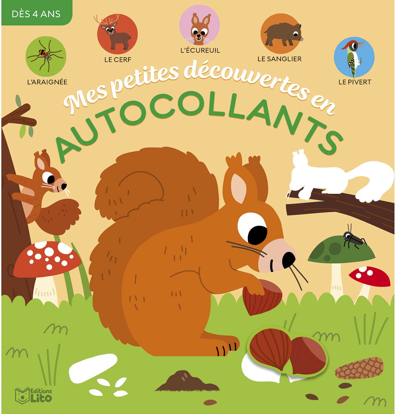 Mes petites découverte en autocollants - Les animaux de la forêt - Dès 4 ans (Mes petites découvertes en autocollants) Books