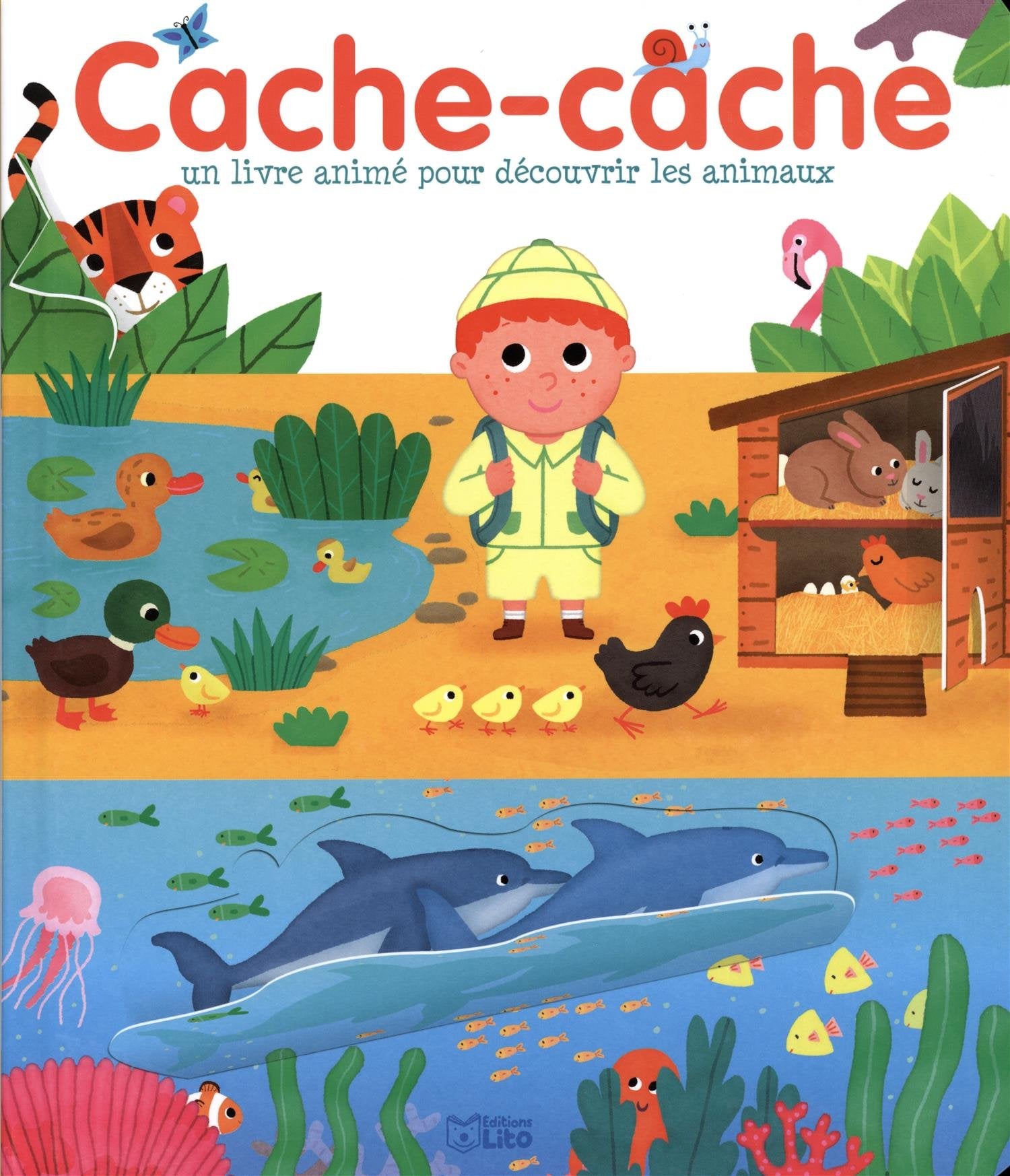 Cache-cache: Un livre animé pour découvrir les animaux Books