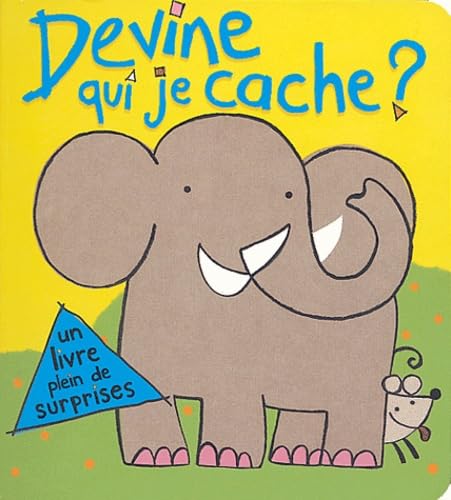 Devine qui je cache ?: Un livre plein de surprises book