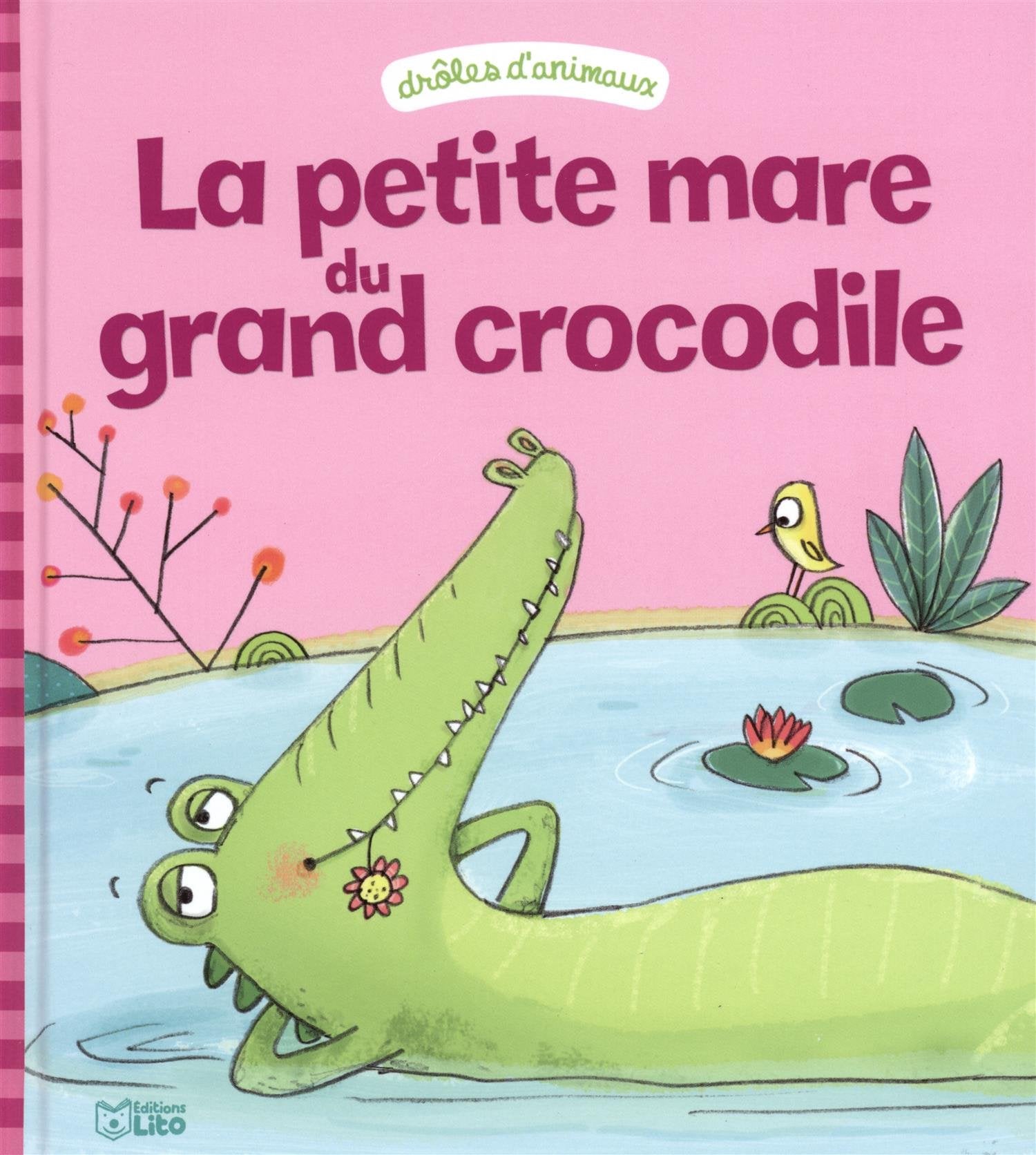 La petite mare du grand crocodile book