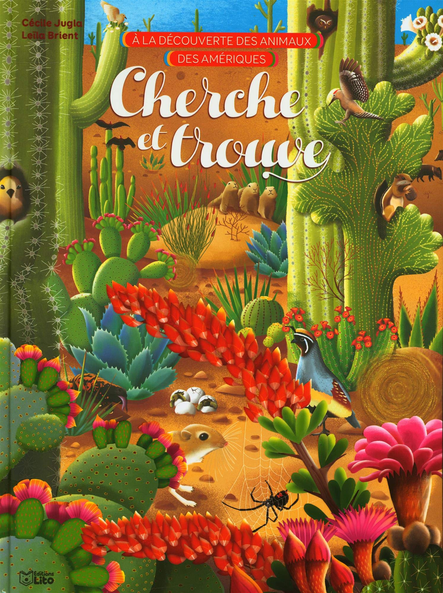 A la découverte des animaux d'Amérique : Cherche et trouve - Dès 5 ans Books