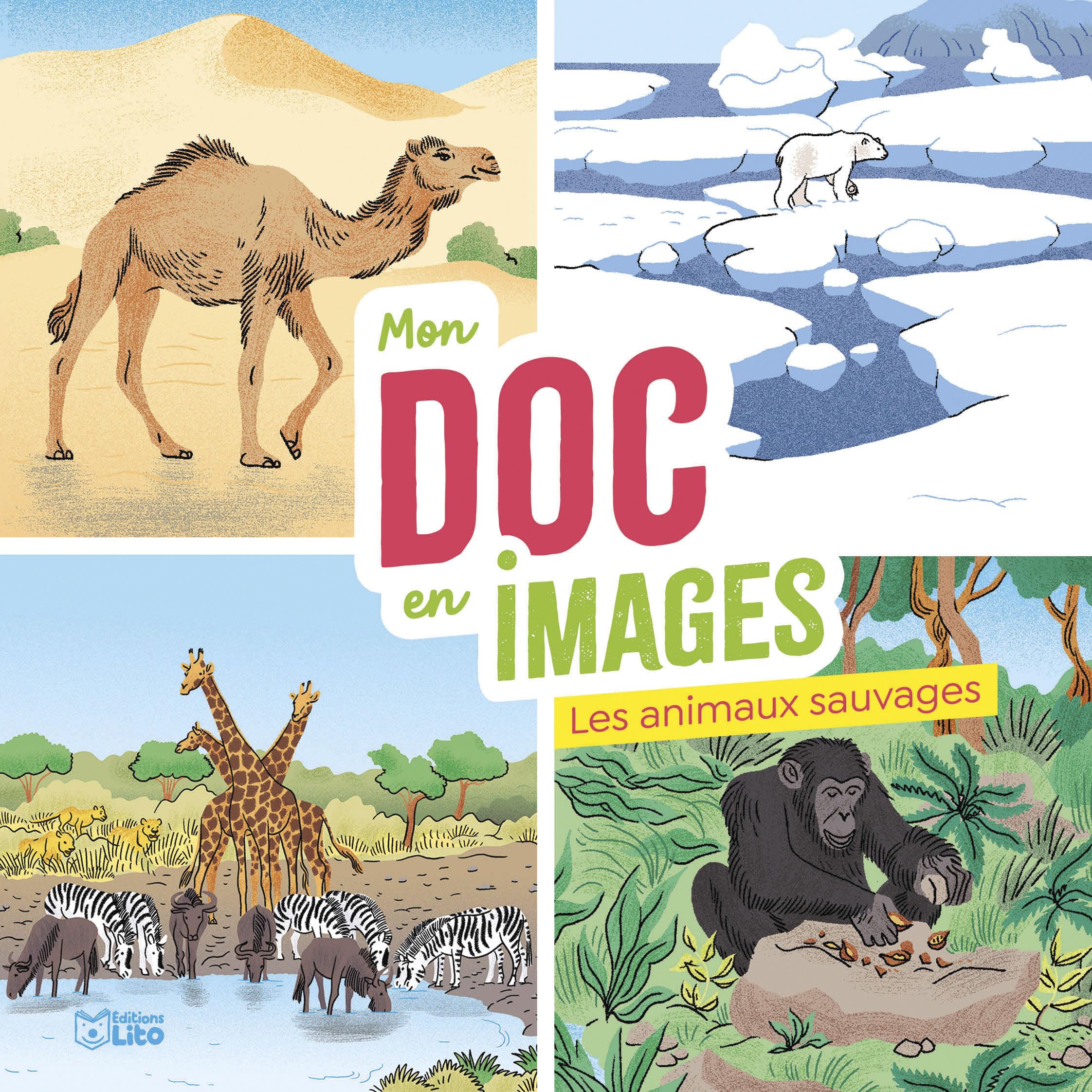Les animaux sauvages (Mon doc en images) Non-fiction