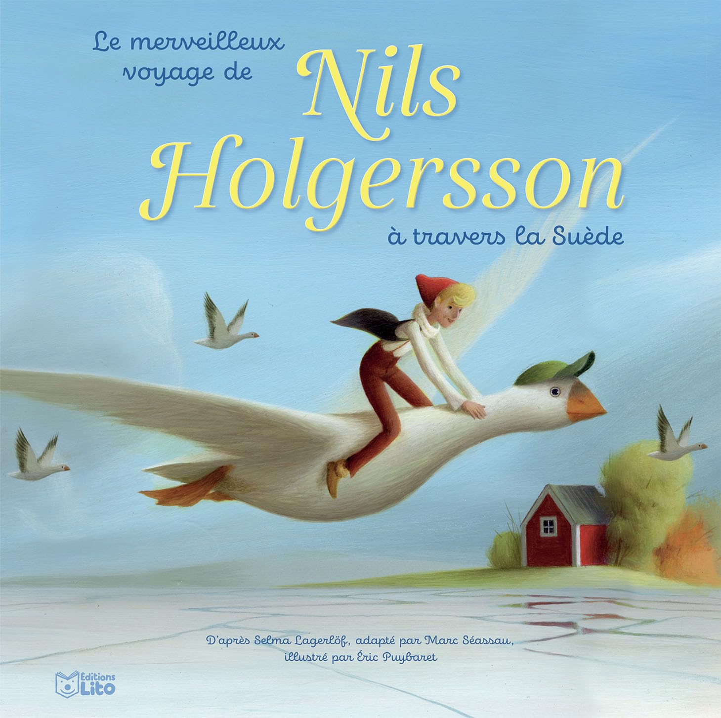 Merveilleux voyage nils suede Books