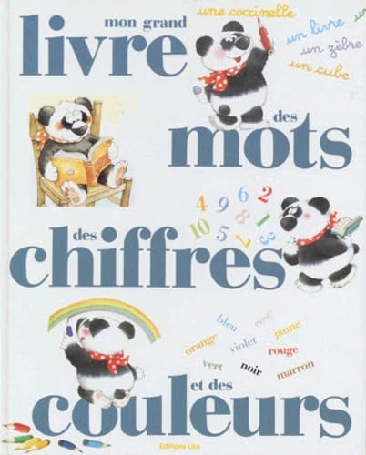 Mon grand livre des mots, des chiffres et des couleurs Books