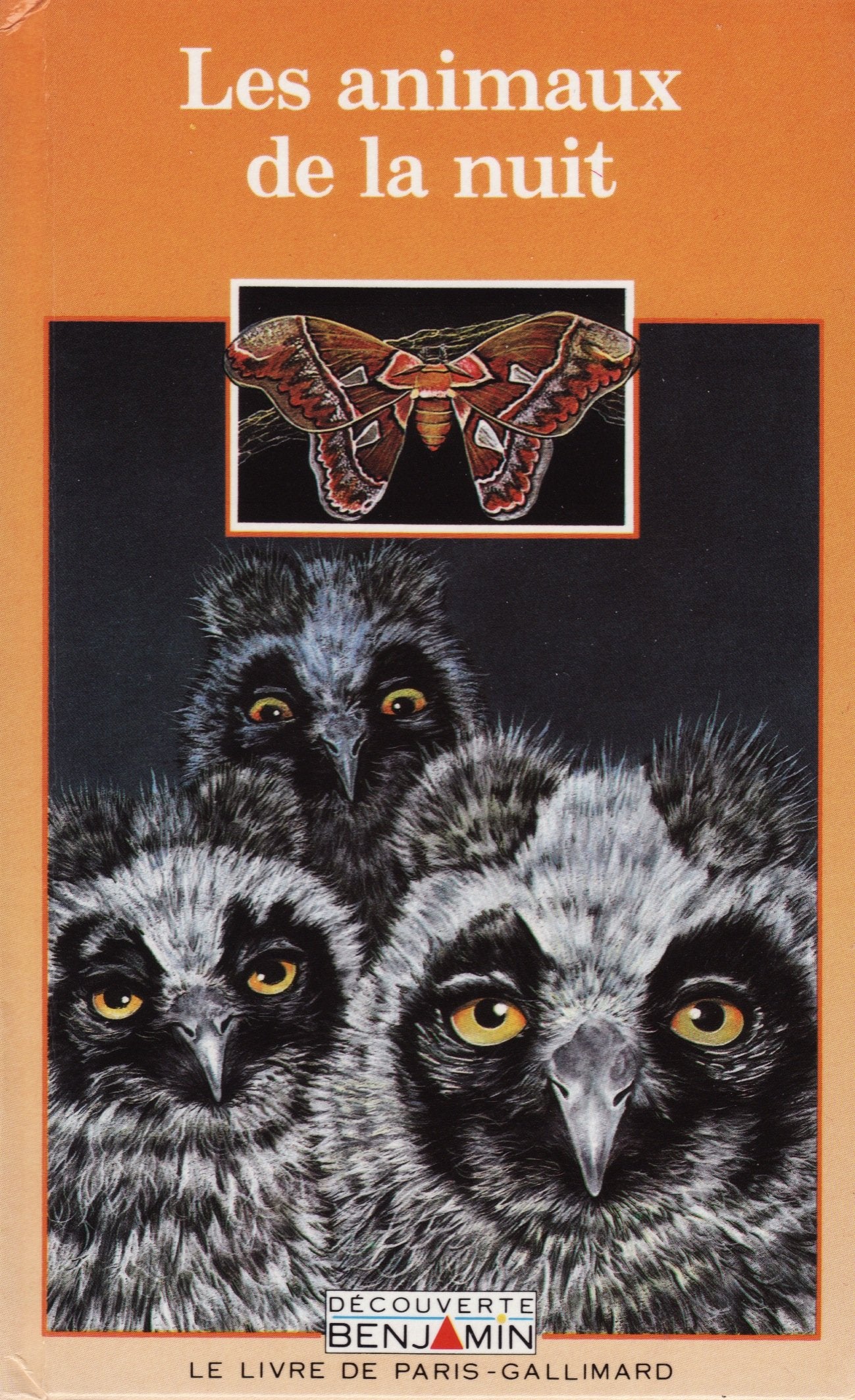 Les animaux de la nuit Books