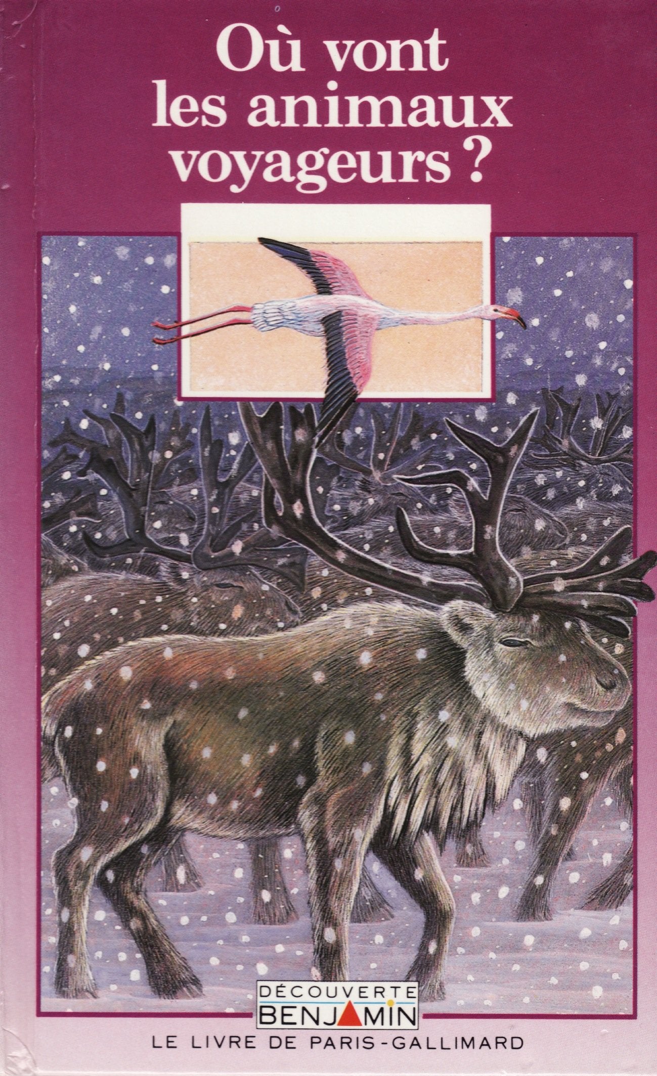 Où vont les animaux voyageurs? Books