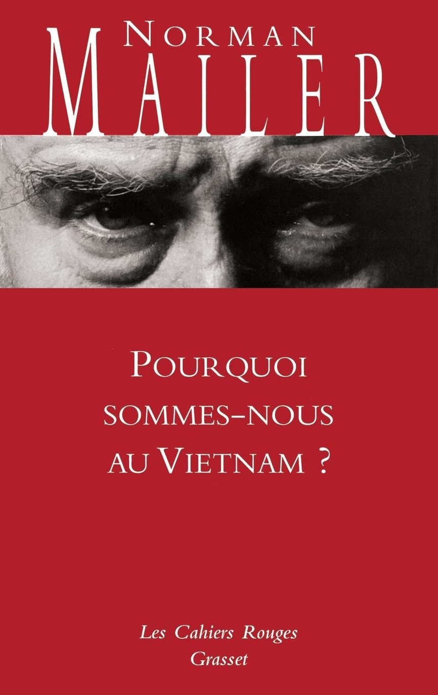 Pourquoi sommes-nous au Vietnam? Contemporary literature