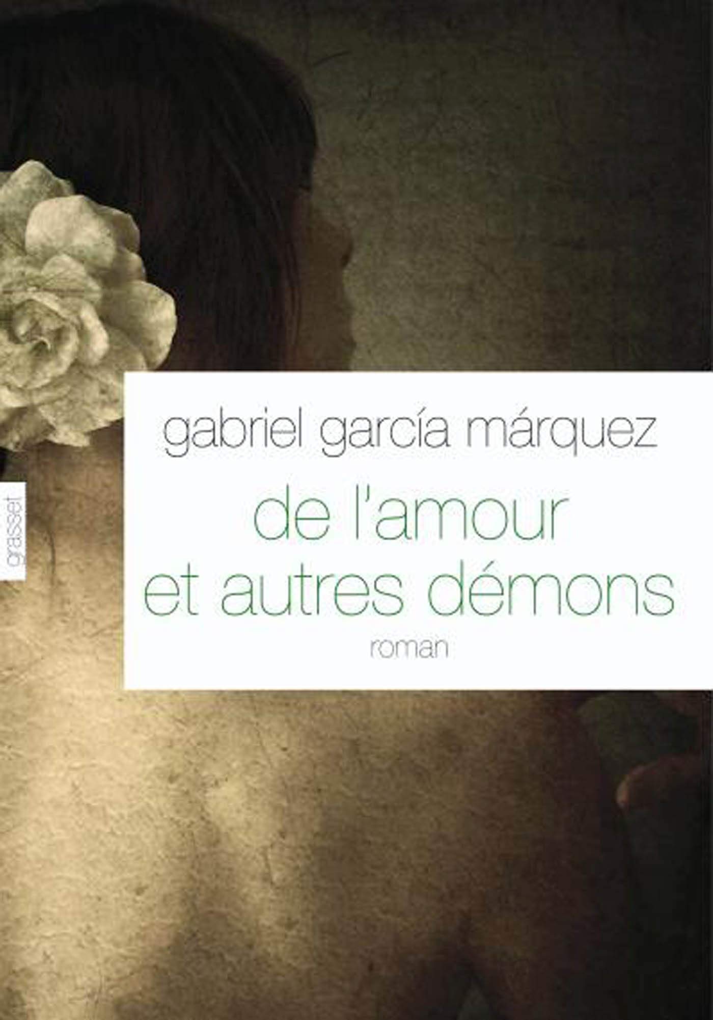 De l'amour et autres démons Contemporary literature