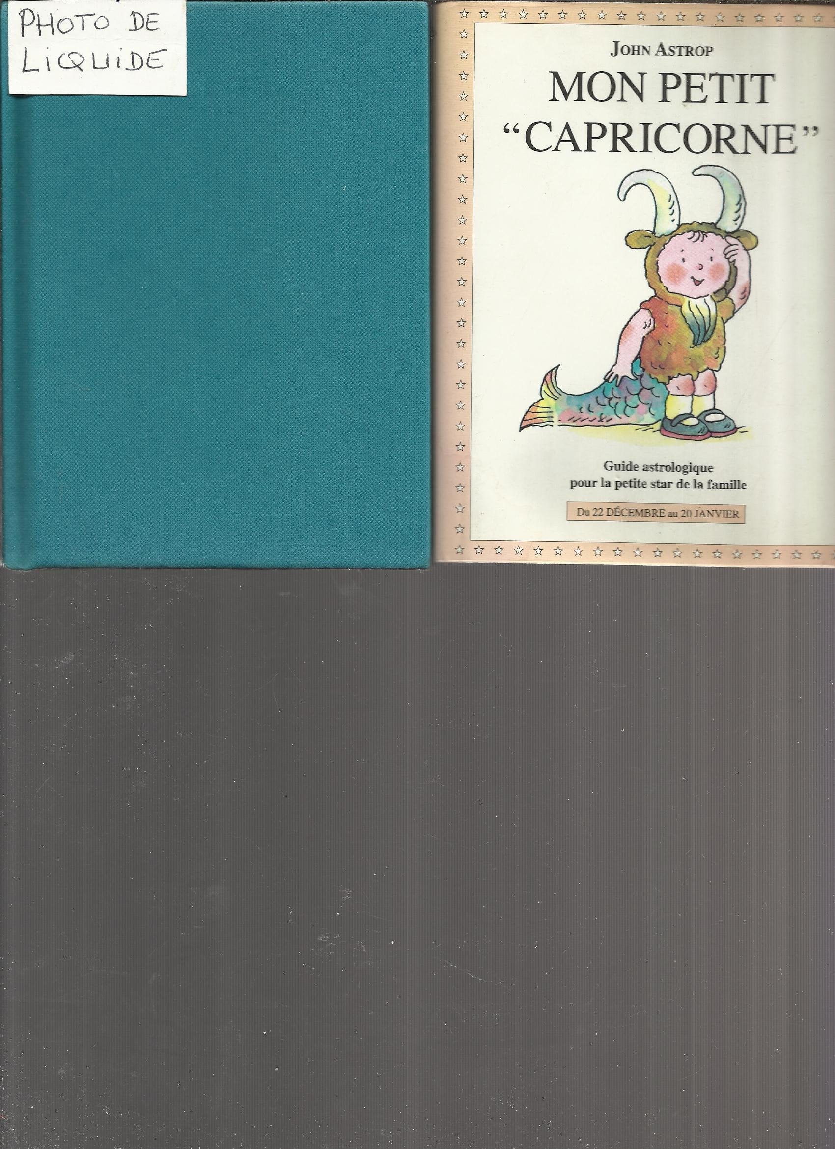 Capricorne: Du 22 décembre au 20 janvier, guide astrologique pour la petite star de la famille book
