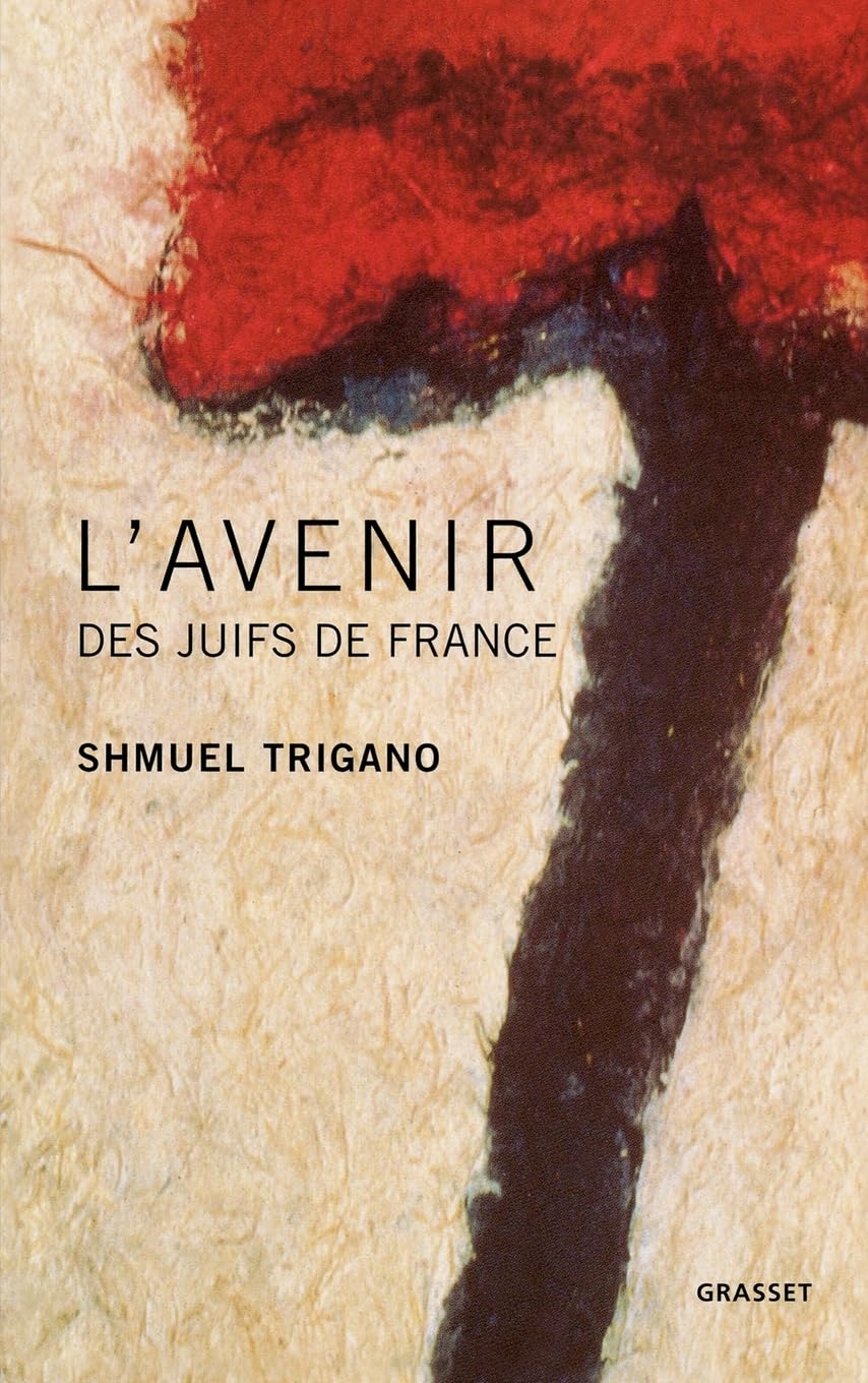 L'avenir des juifs de France book