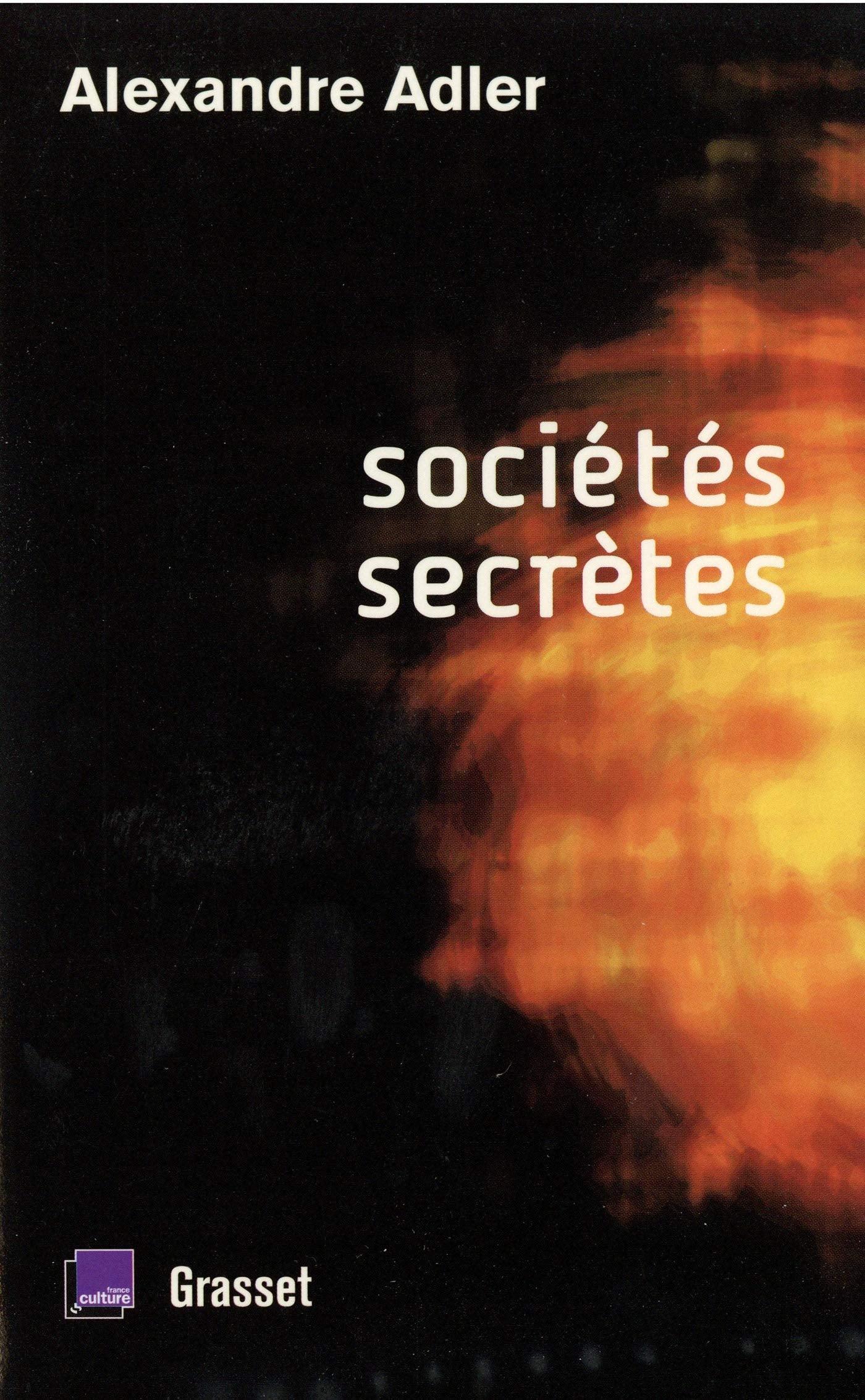 Sociétés secrètes: De Léonard de Vinci à Rennes-le-Château Essays & Short Stories