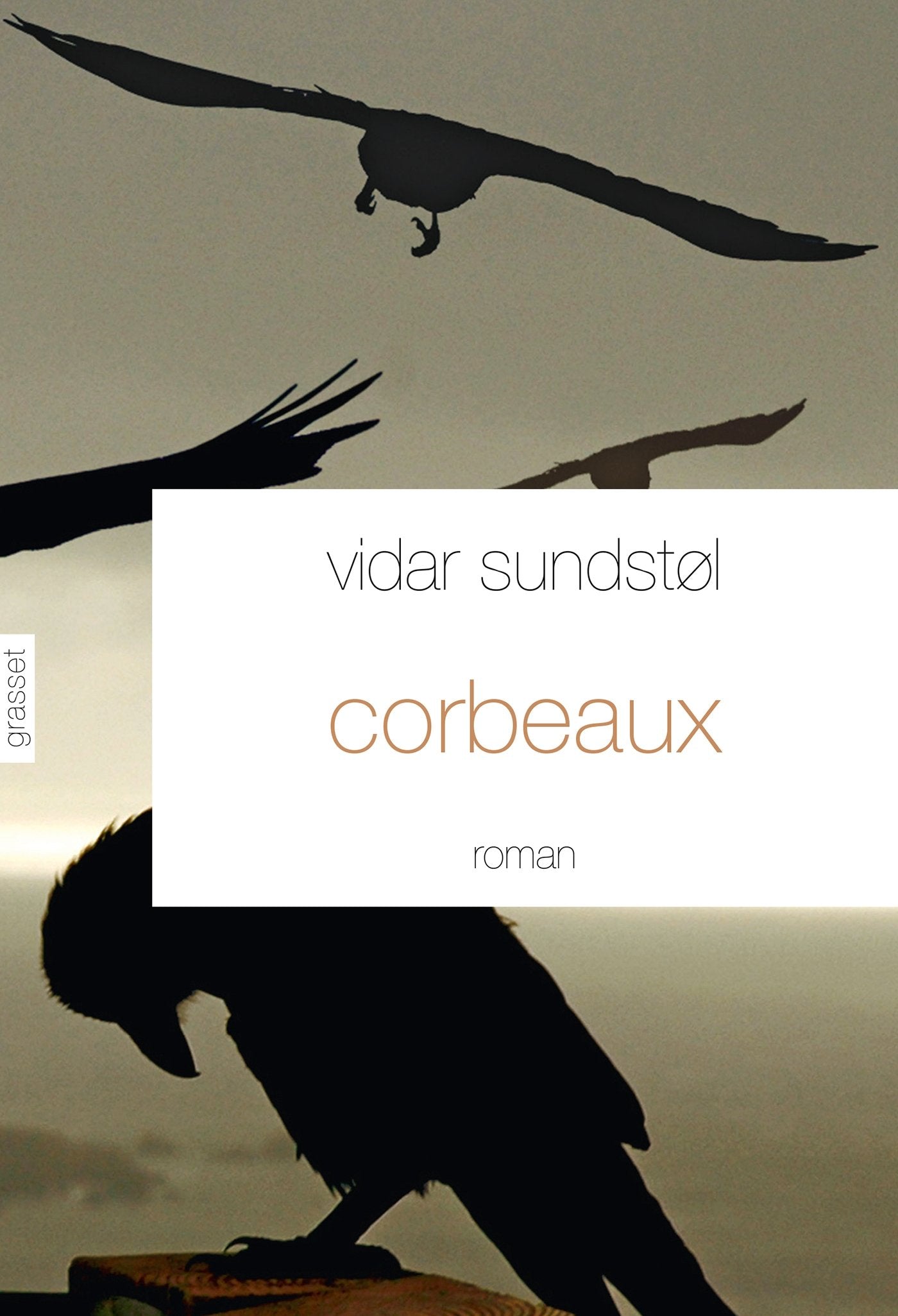 Corbeaux: Roman - traduit du norvégien par Hélène Hervieu et Eva Sauvegrain book