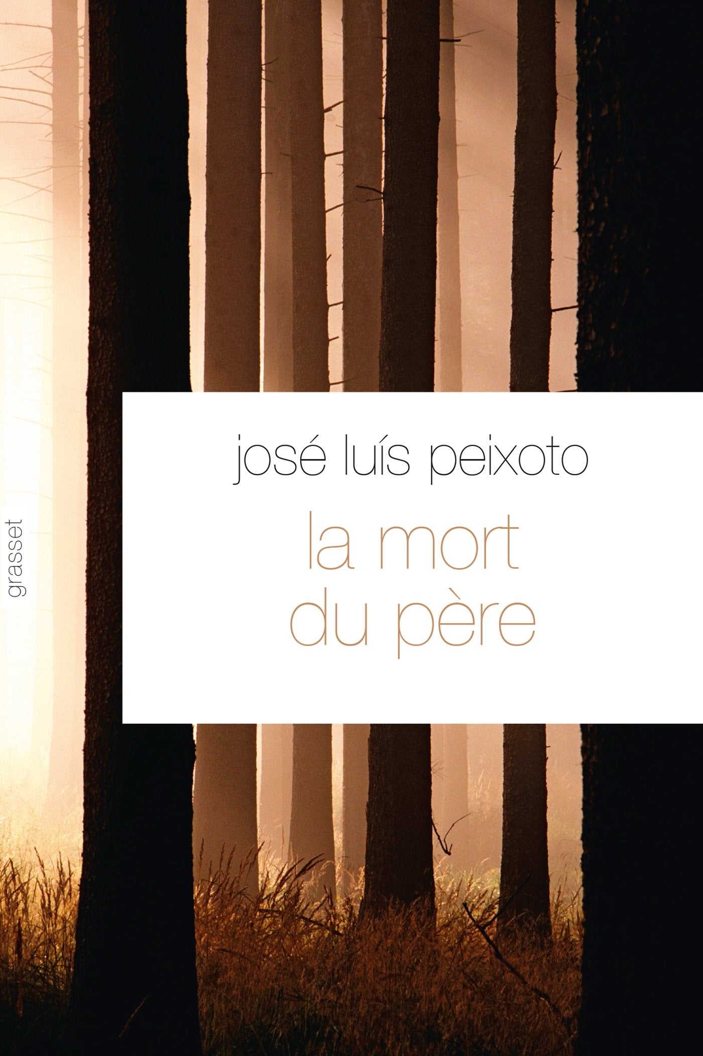 La mort du père: Traduit du portugais par François Rosso book