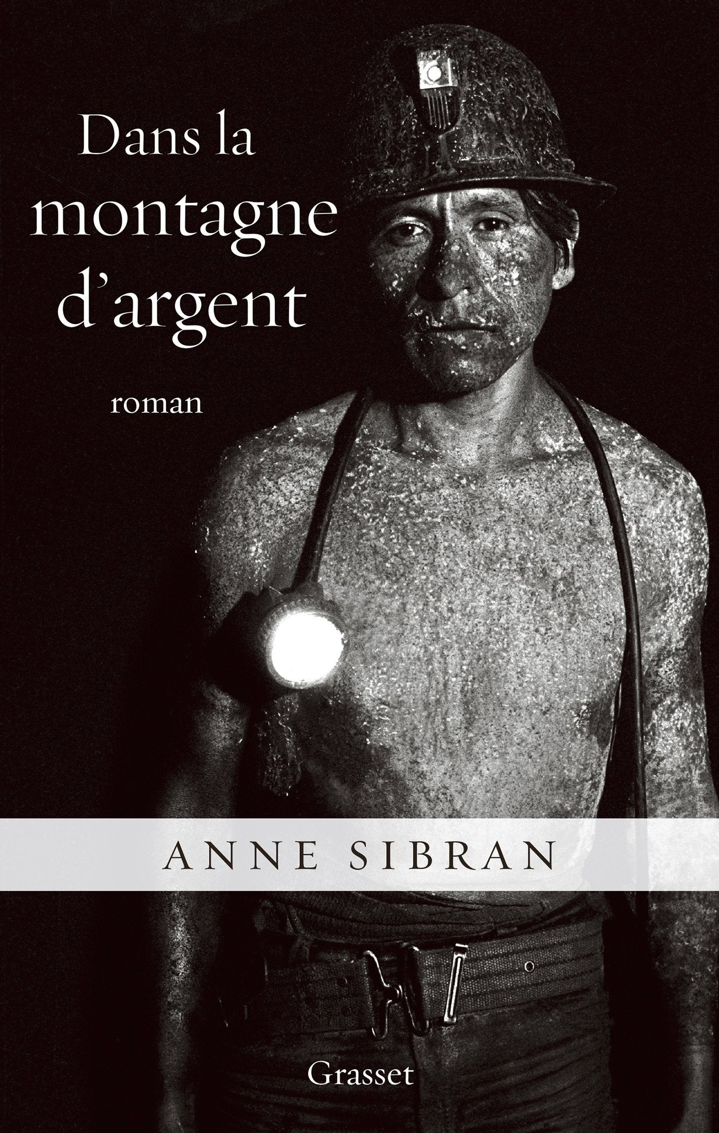 Dans La Montagne D Argent: roman (Litterature Francaise) Contemporary literature