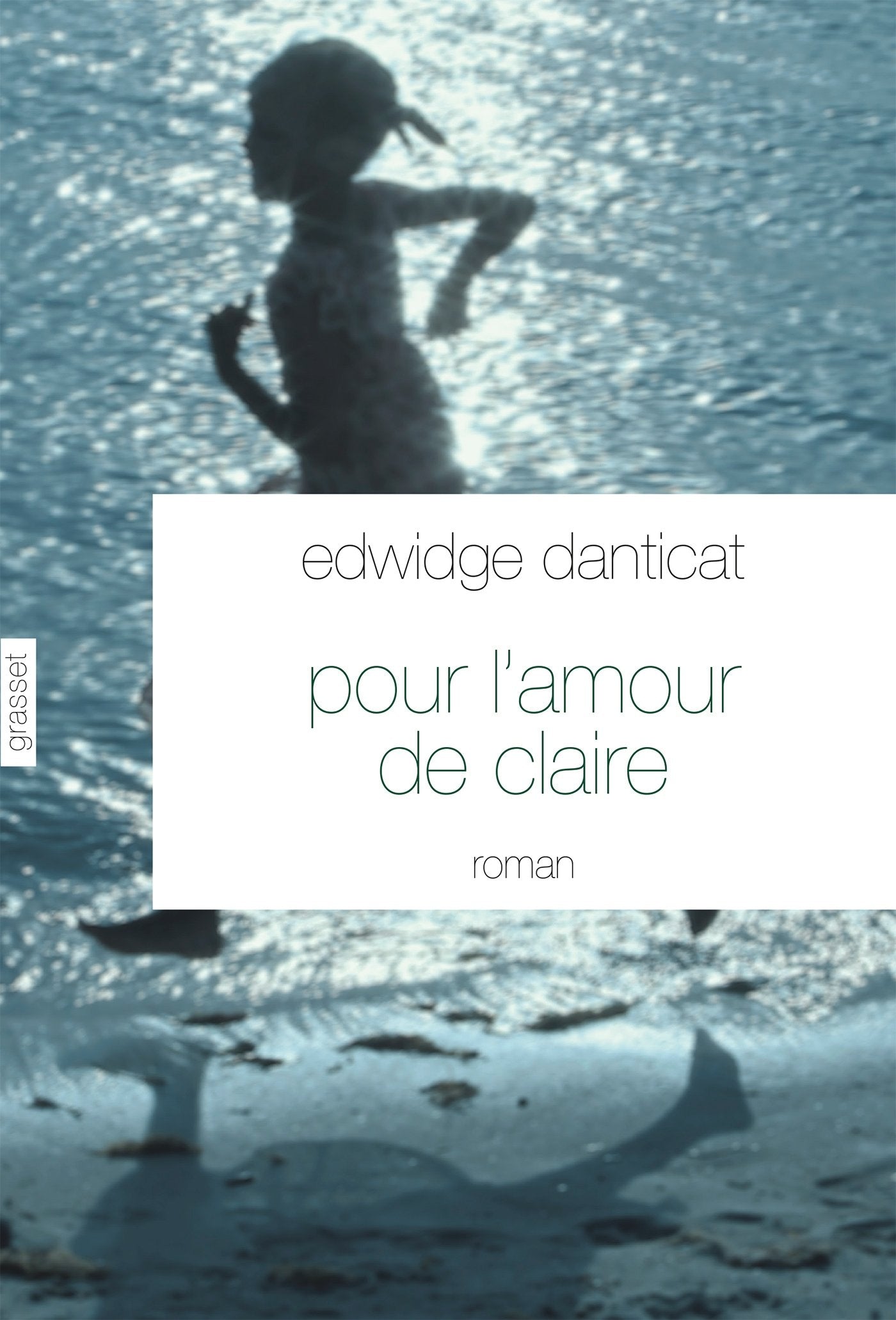 Pour l'amour de Claire: Traduit de l'anglais (Etats-Unis) par Simone Arous (Litterature Etrangere) Contemporary literature