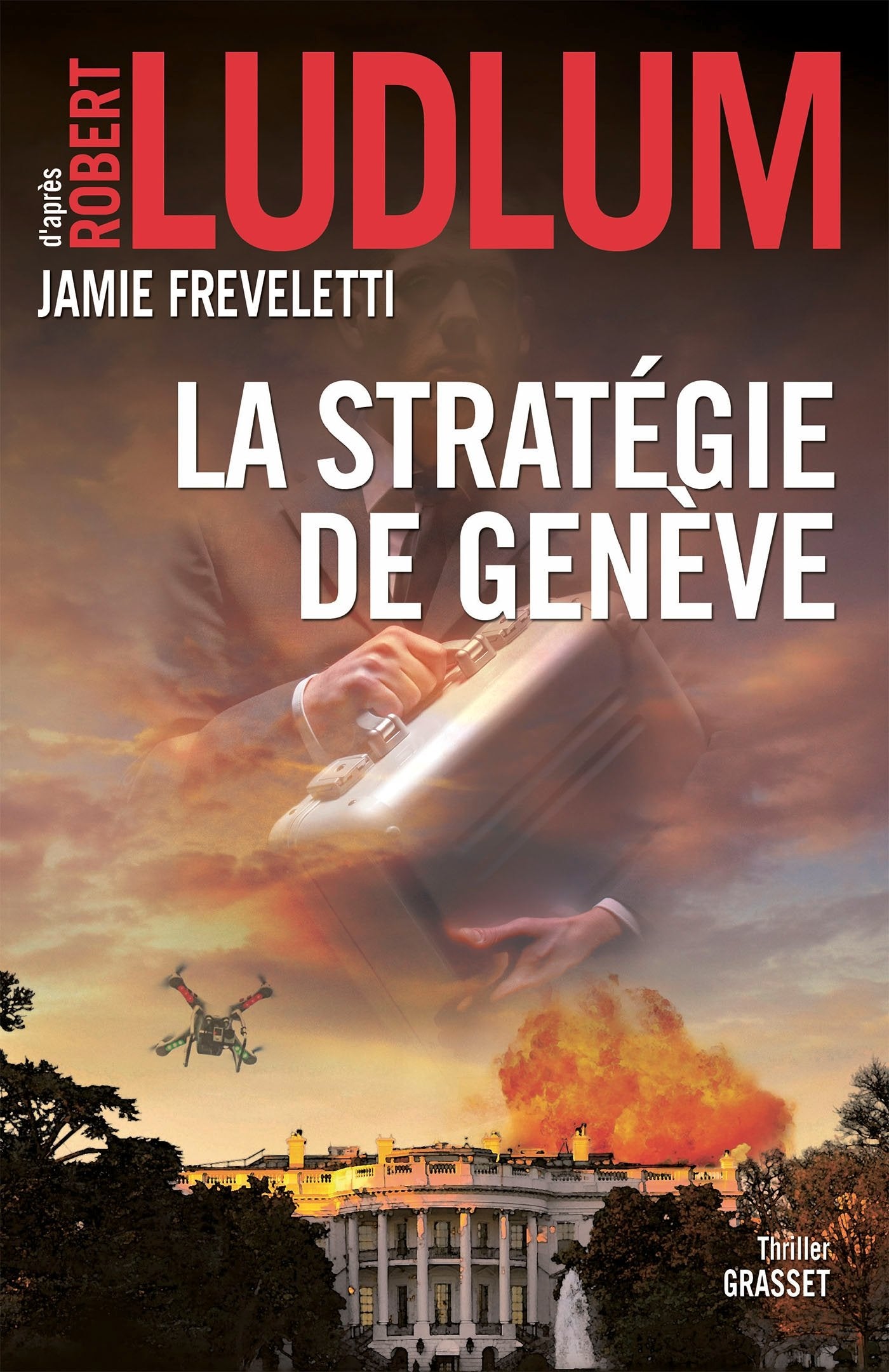 La stratégie de Genève: traduit de l'anglais (États-Unis) par Florianne Vidal Contemporary literature