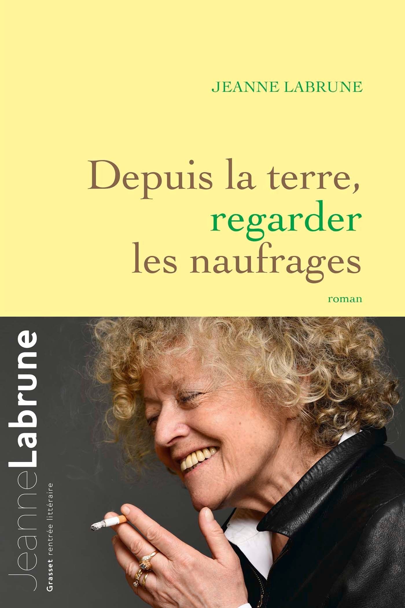 Depuis la terre, regarder les naufrages: roman book