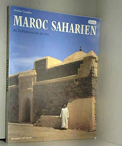 Maroc Saharien: Du Tafilalet au Rio de Oro (French Edition) Books