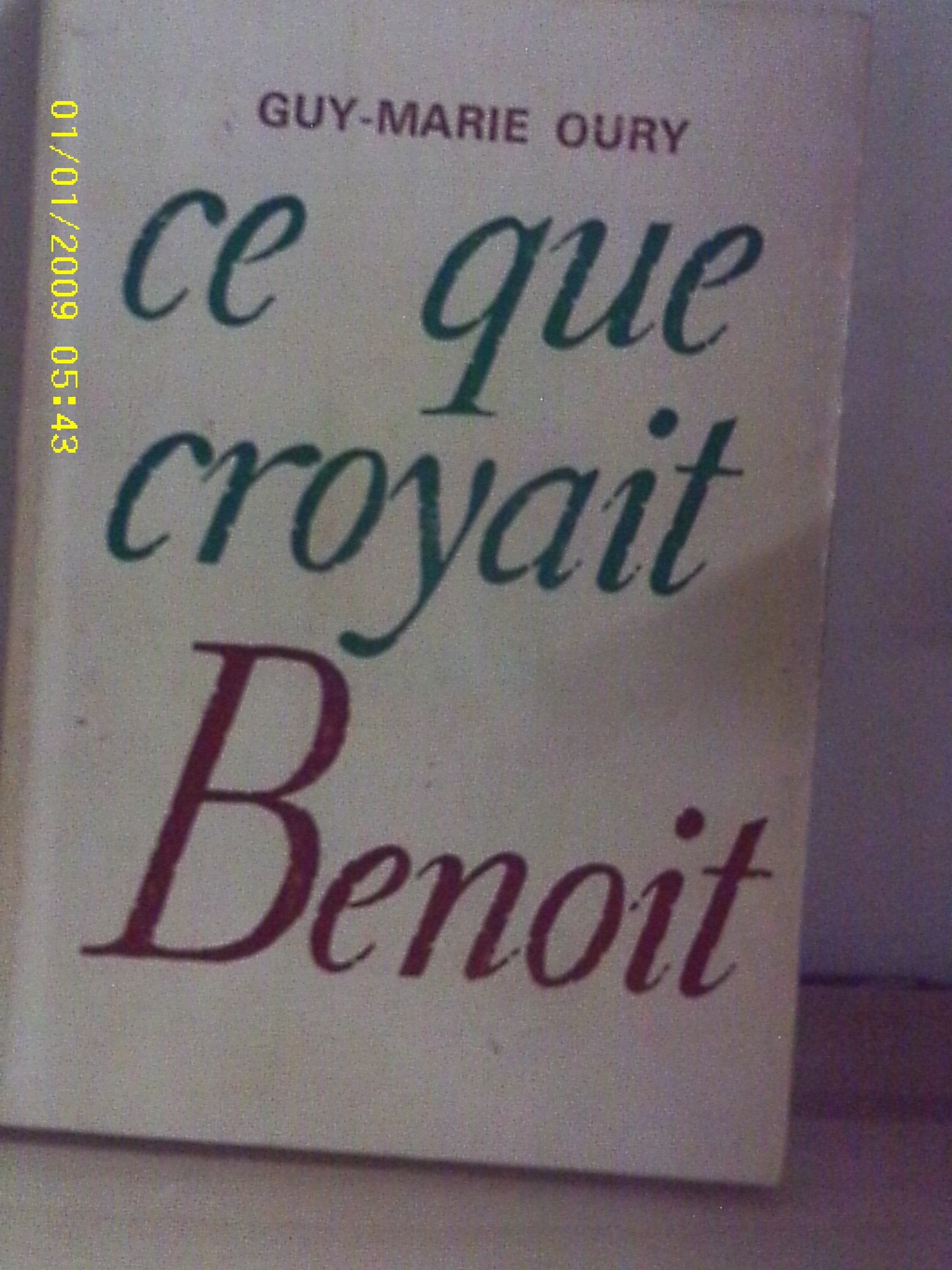 Ce que croyait Marie de l'incarnation et comment elle vivait de sa foi. book