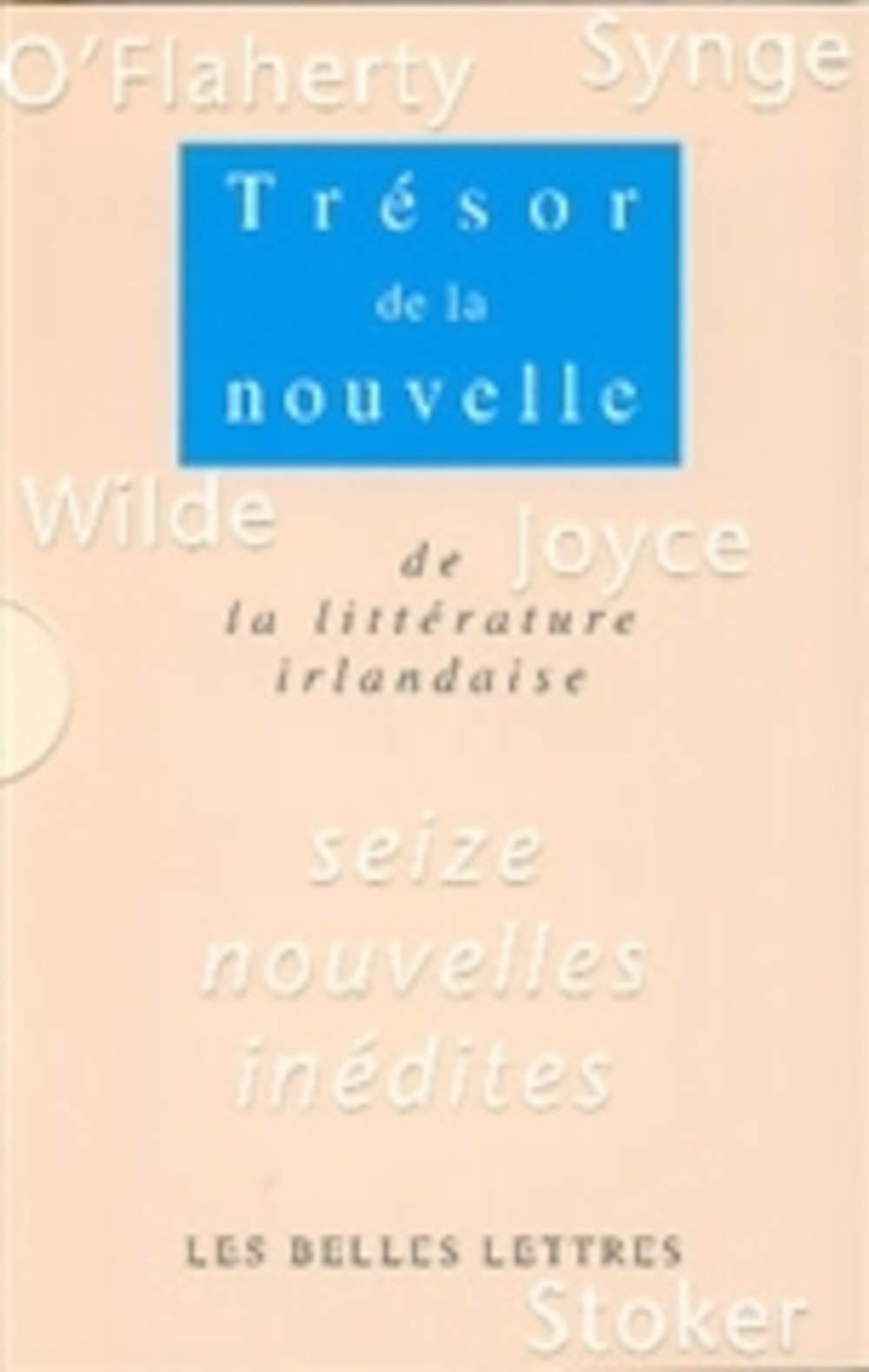 Trésor de la nouvelle de la littérature irlandaise book