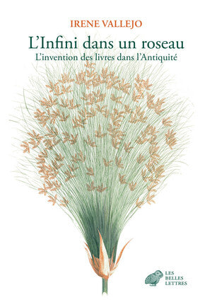 L'infini dans un roseau : l'invention des livres dans l'Antiquité Politics & History