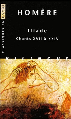 Iliade. Vol. 3. Chants XVII à XXIV Social Sciences