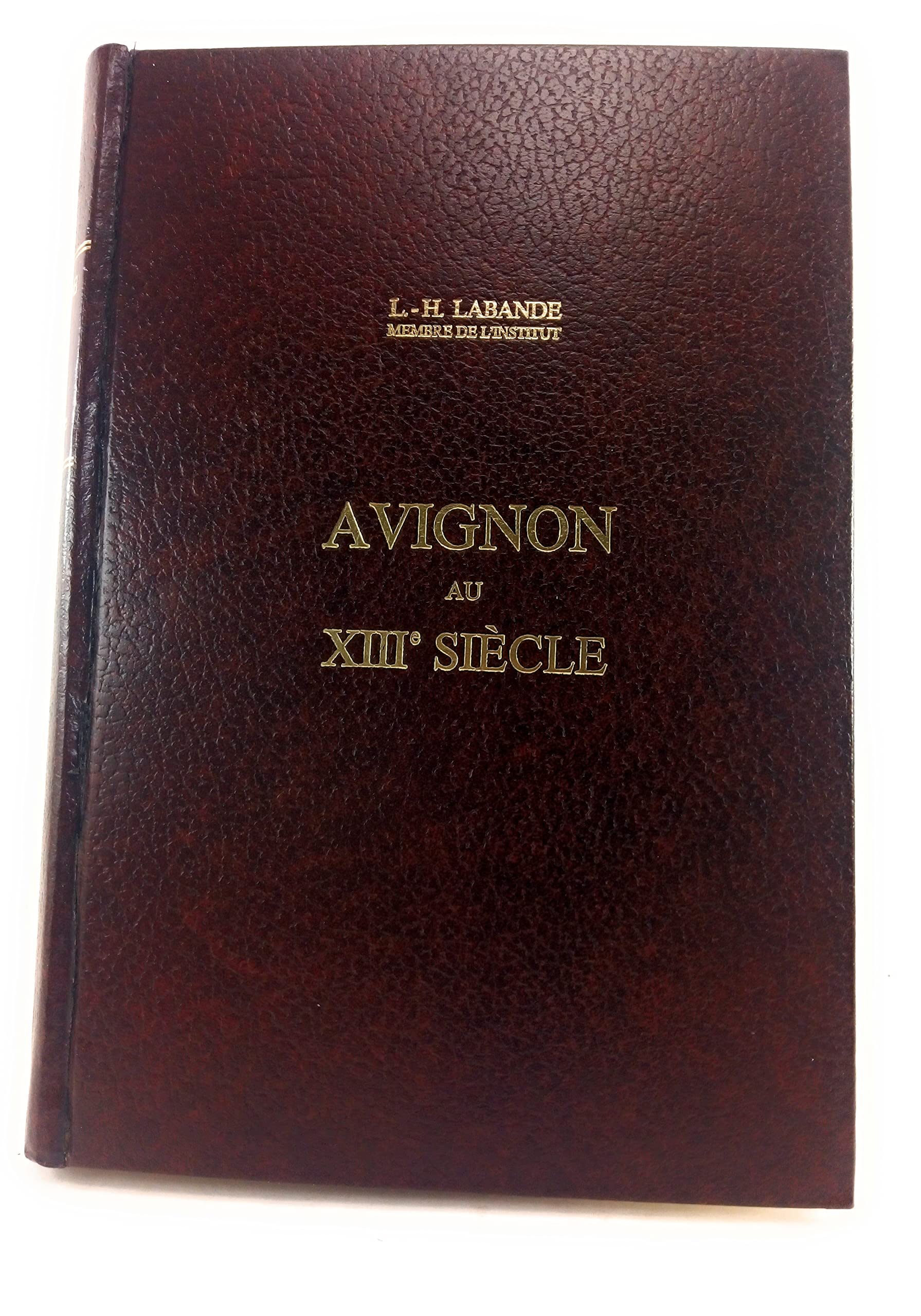 Avignon au XIII siècle : L'évêque Zoen Tencarari et les Avignonais book