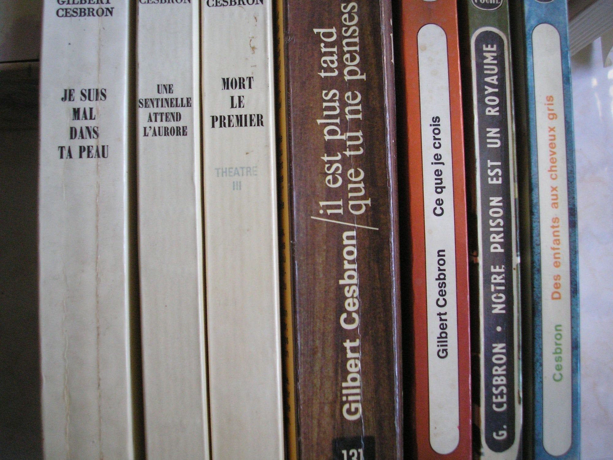 G. cesbron - lot 15 livres : voici le temps des imposteurs - la ville couronnée d'épines - c'est mozart qu'on assassine - la tradition fontquernie - les saints vont en enfer - les innocents de paris - une sentinelle attend l'aurore - je suis mal dans t... book