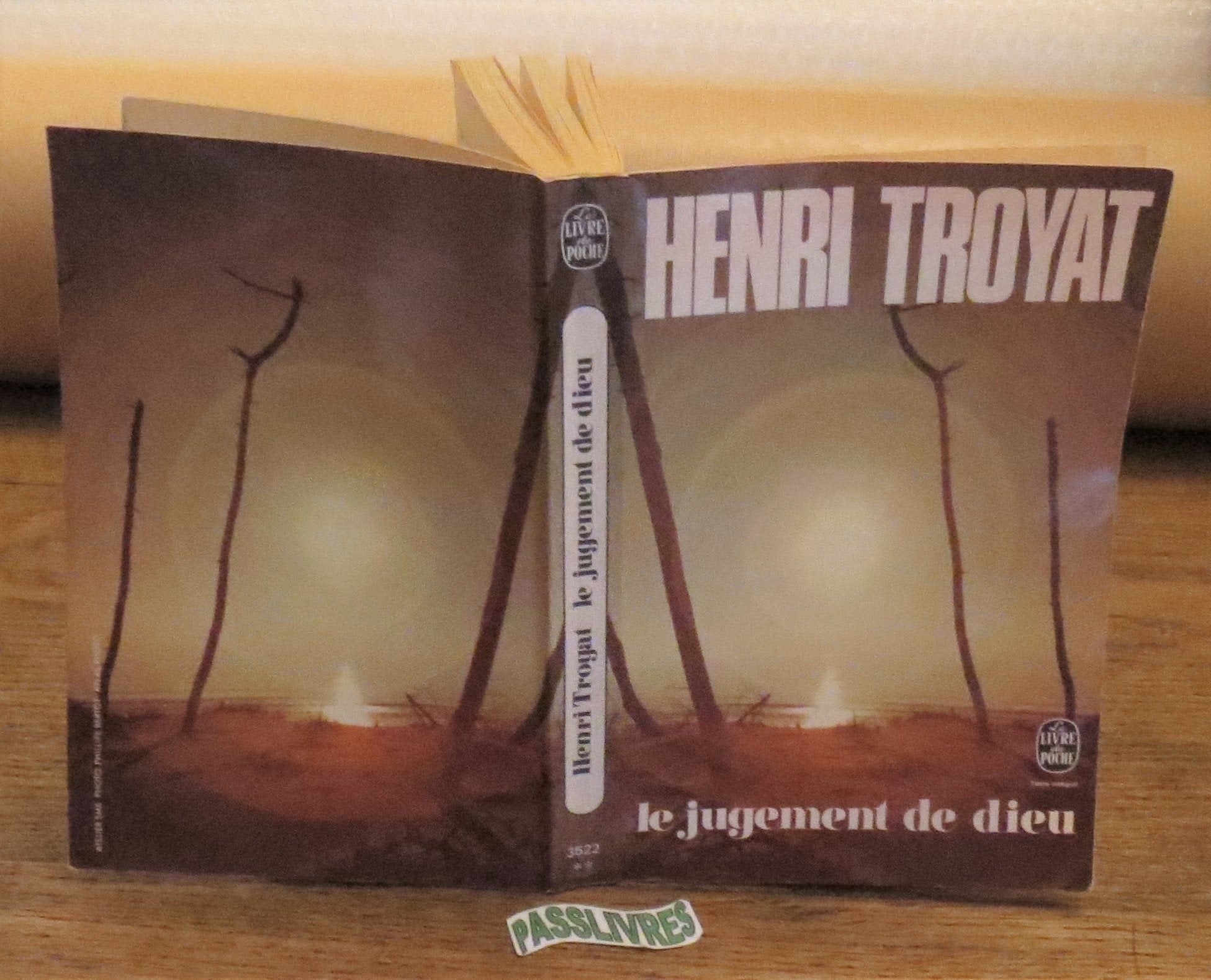 Le Jugement De Dieu book