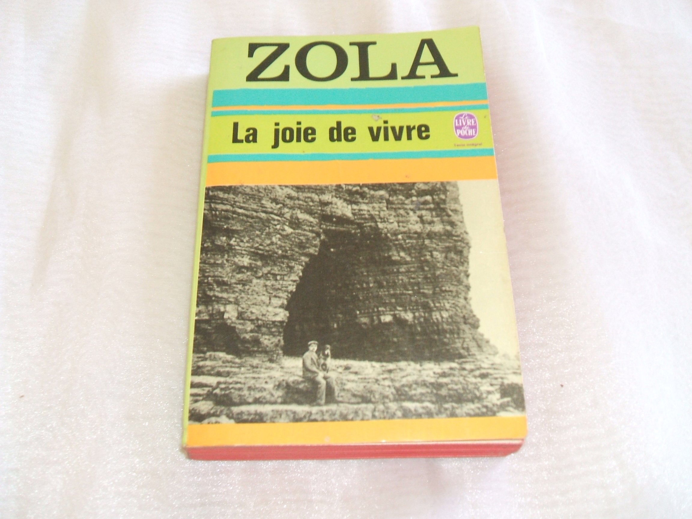 La Joie De Vivre Essays & Short Stories