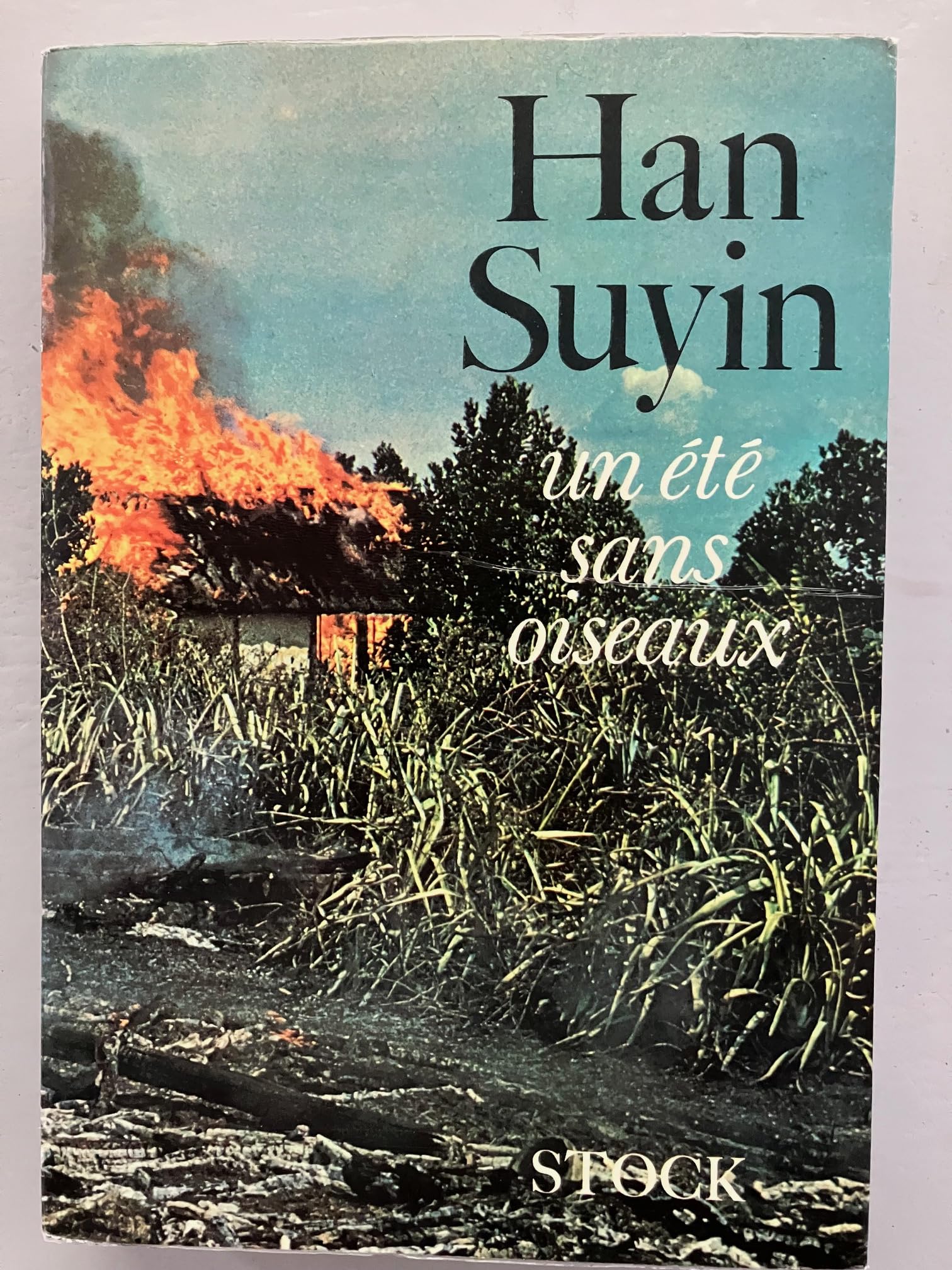 Un été sans oiseaux. La Chine, autobiographie, histoire book