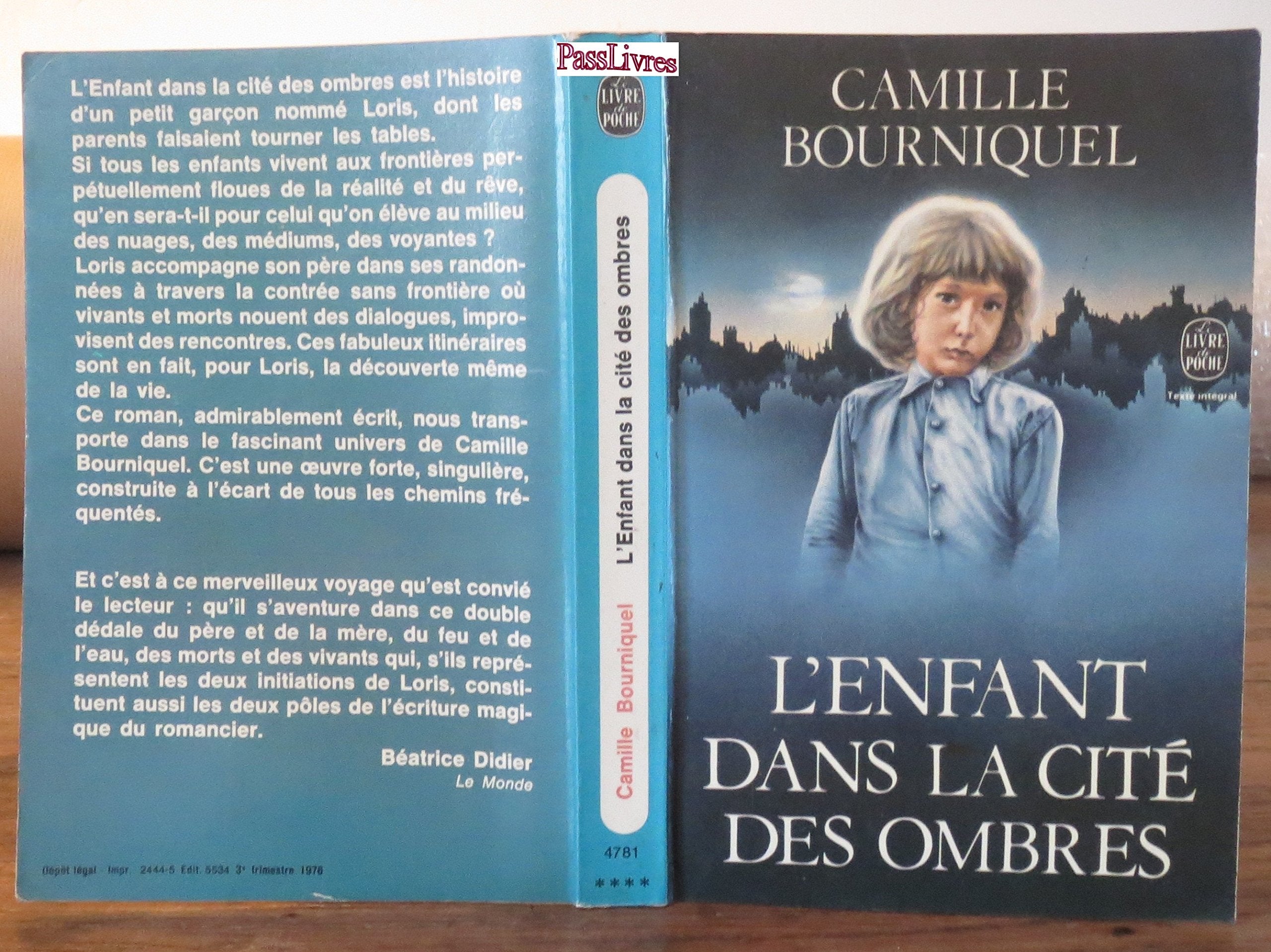 L'enfant dans la cité des ombres book