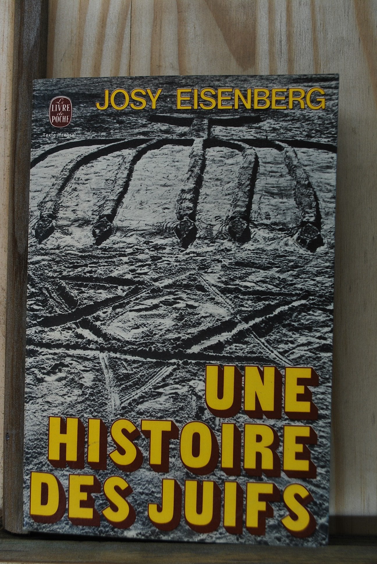 Une Histoire des Juifs book