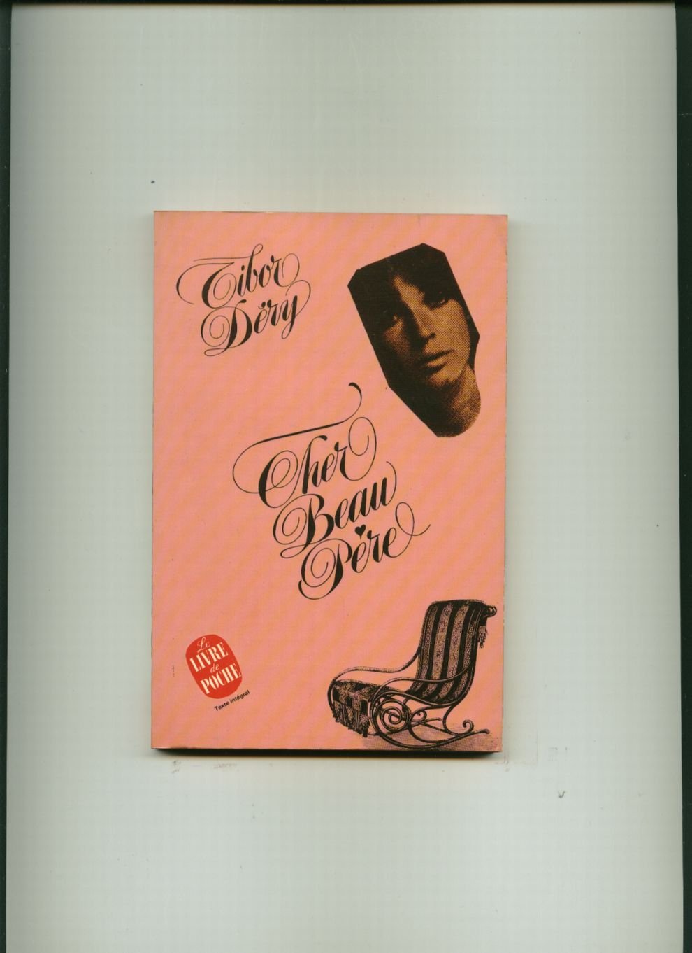 Cher beau-père (Le Livre de poche) Books