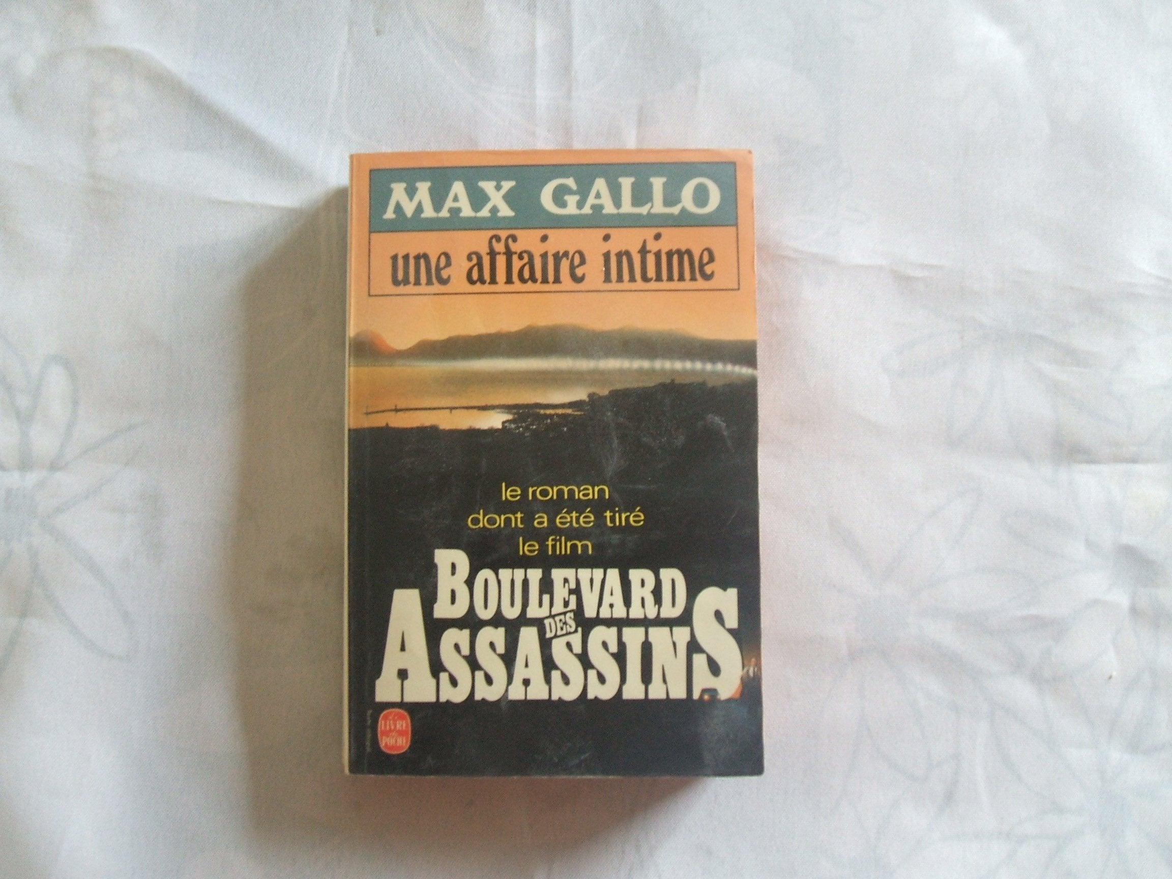 Une affaire intime... : chronique d'un hiver dans une ville du sud : roman (005687) Books