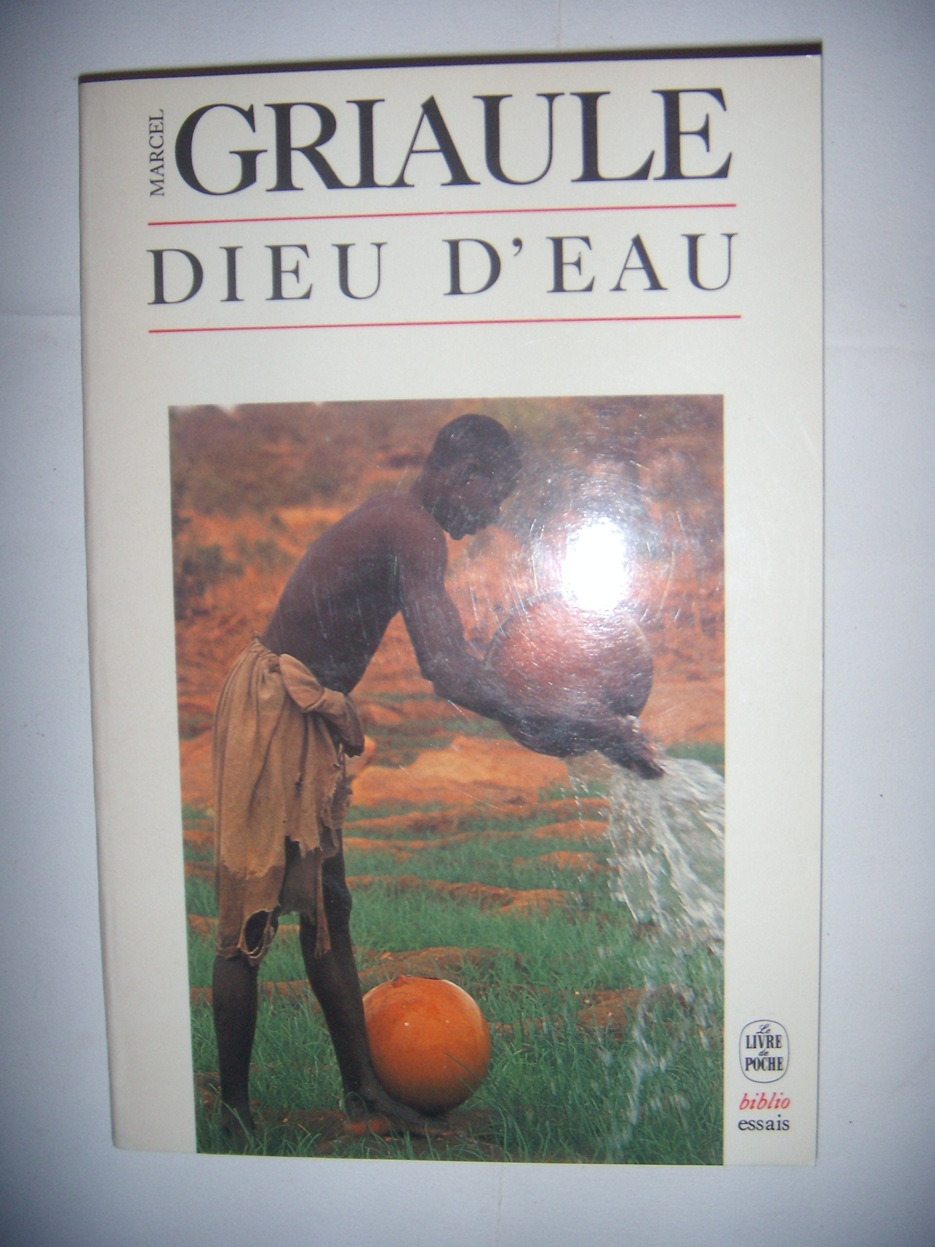 Dieu d'eau : entretiens avec Ogotemmêli book