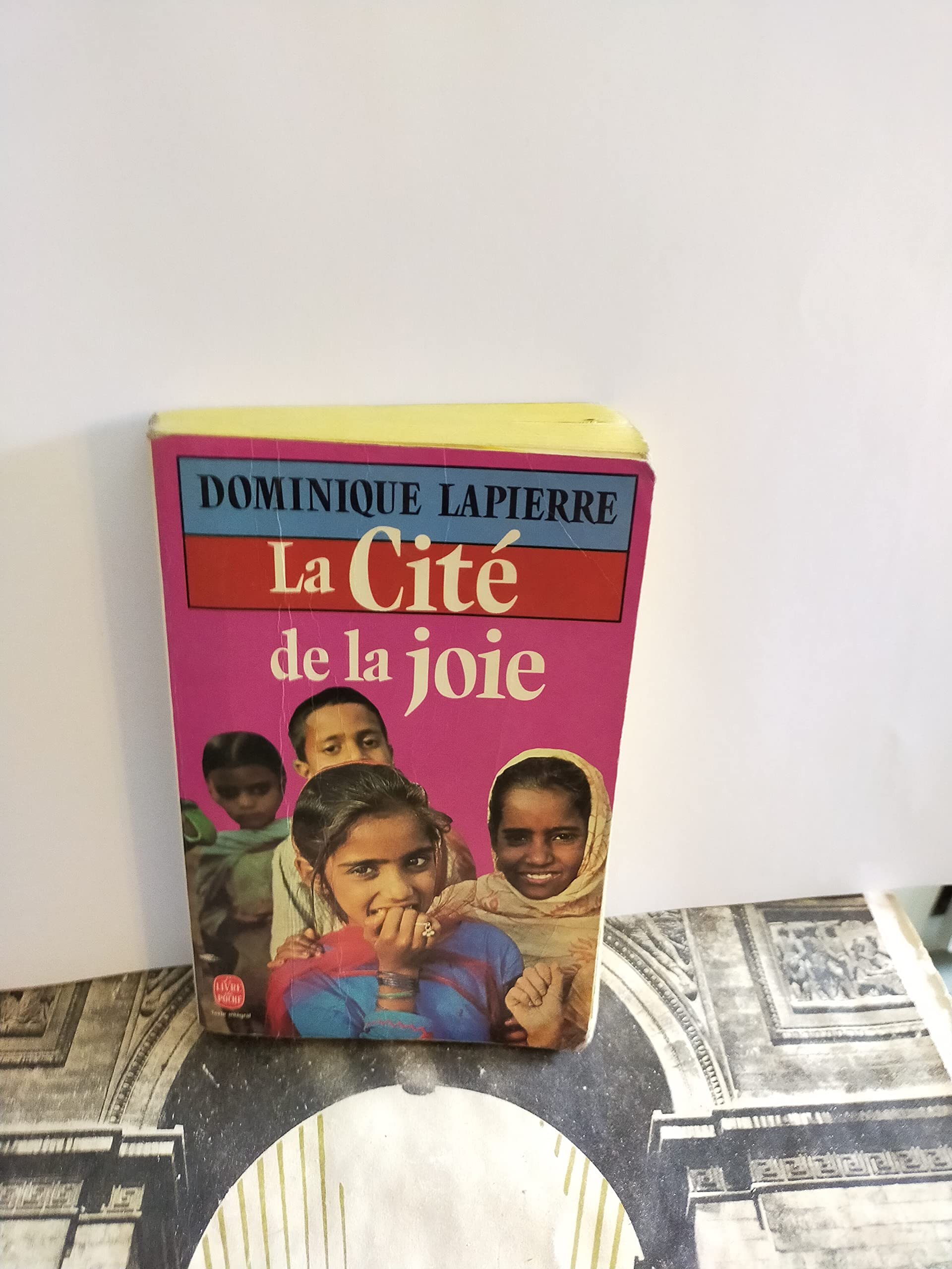 La cité de la joie Learning & Reference