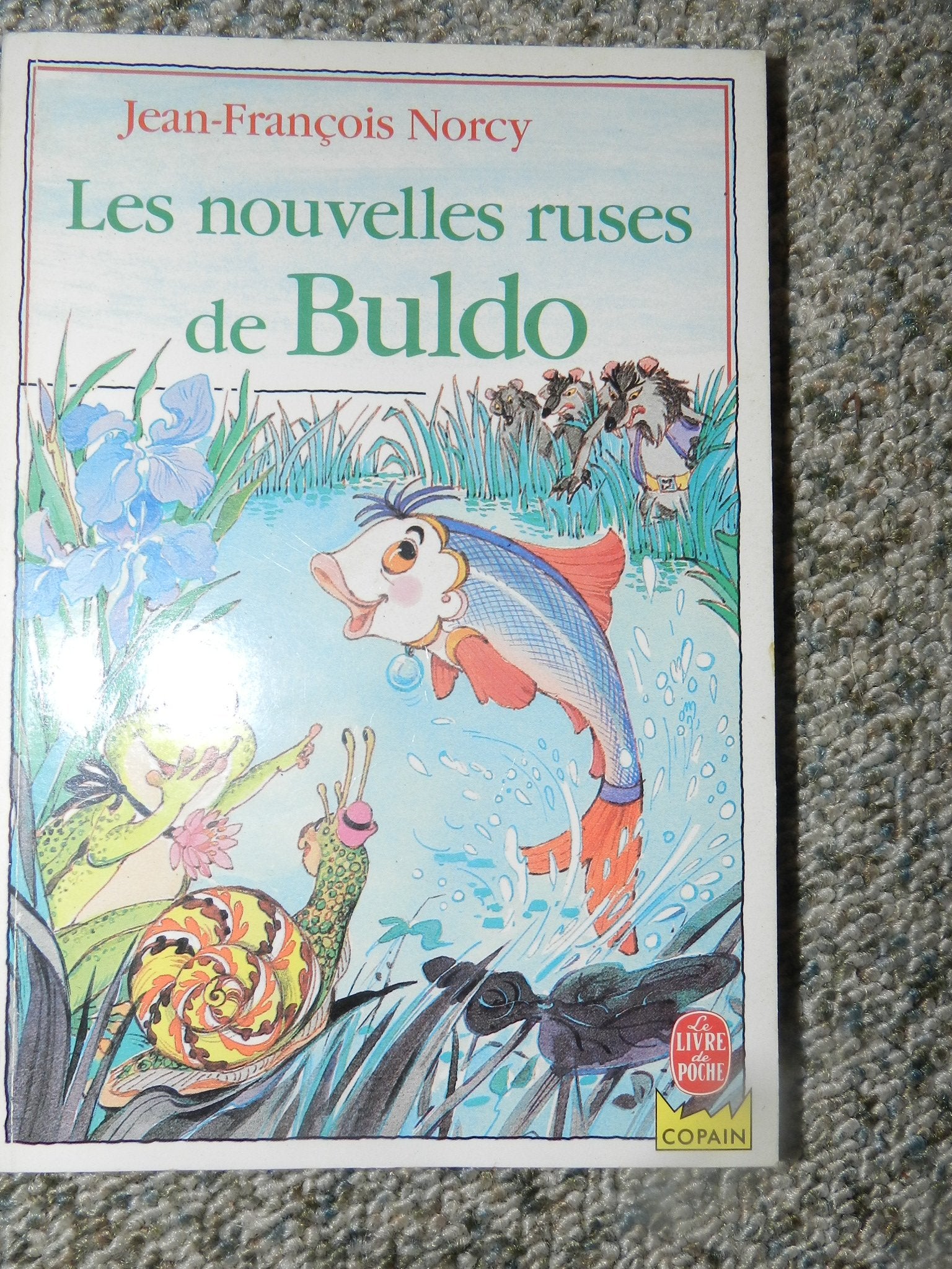 Les nouvelles ruses de buldo book