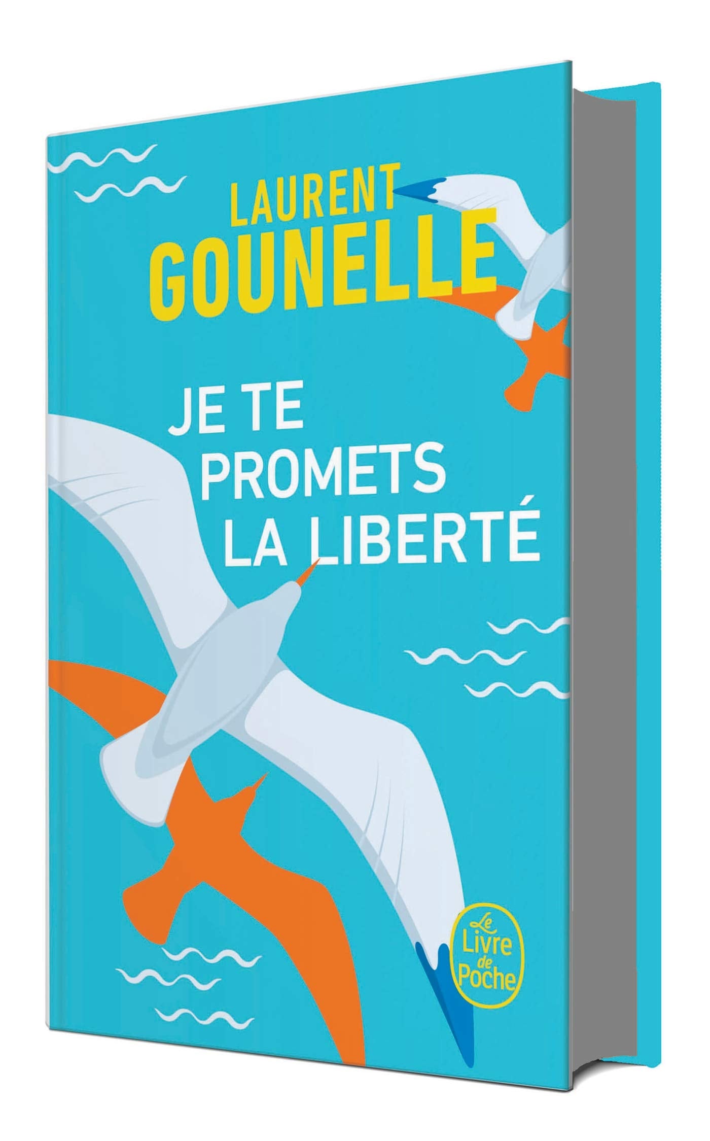 Je te promets la liberté - Collector 2020 book