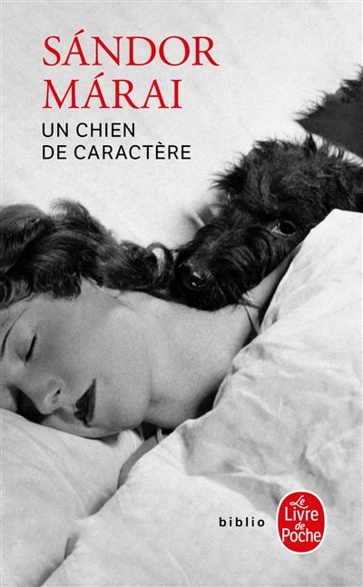 Product Image: Un chien de caractère