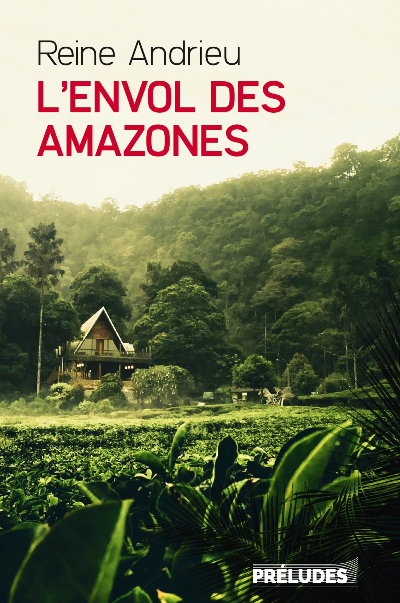 L'Envol des Amazones book