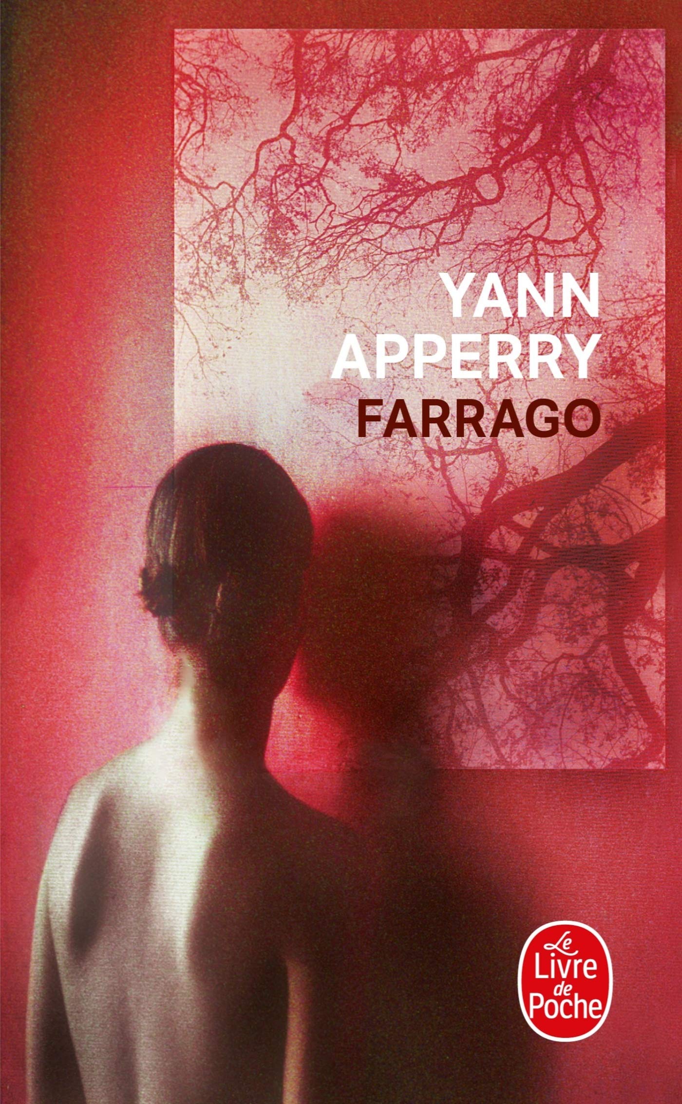 Farrago - Prix Goncourt des Lycéens 2003 book