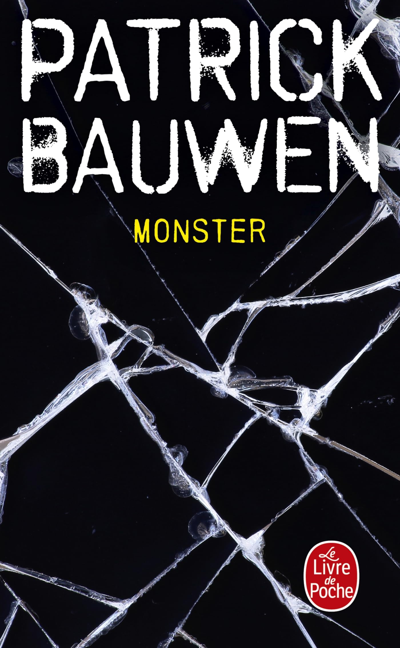Monster: Roman. Ausgezeichnet mit dem Prix des Maisons de la presse 2009 Action & Adventure