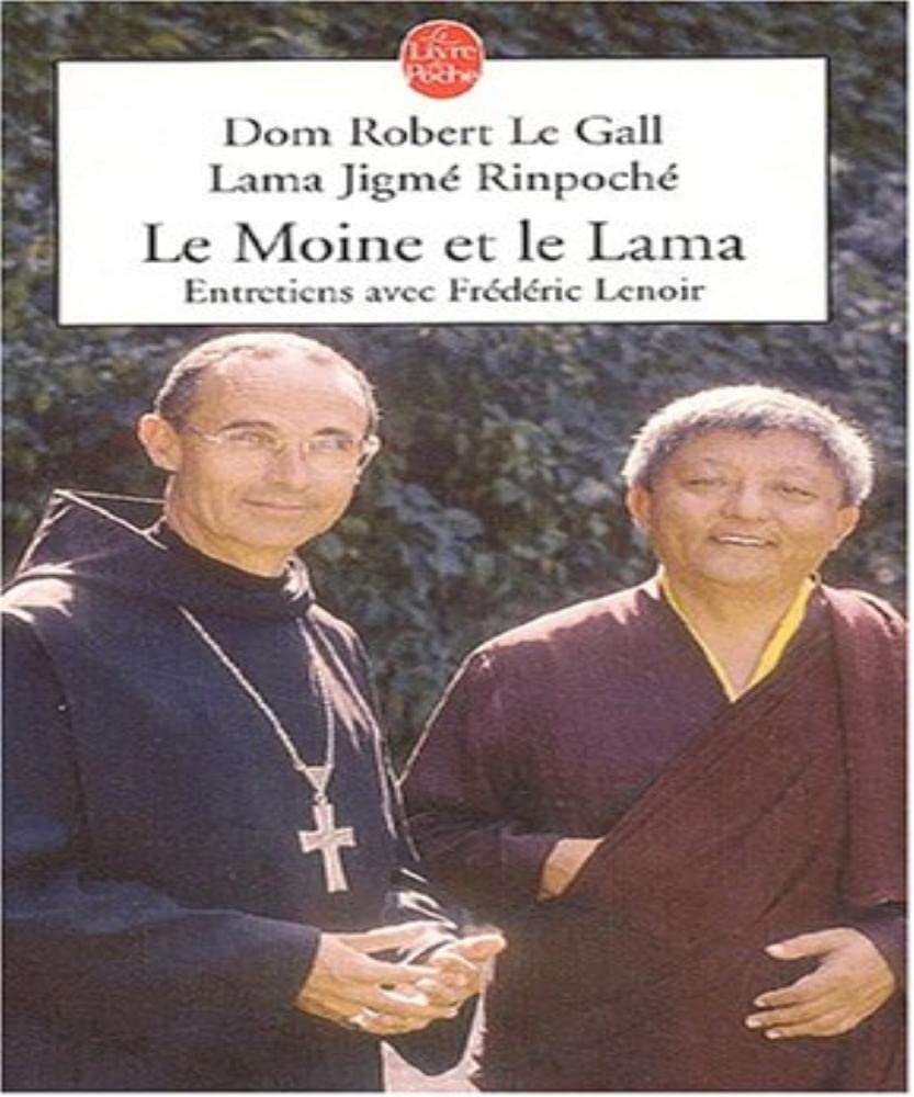 Le Moine Et Le Lama. Entretiens Avec Frederic Lenoir Books