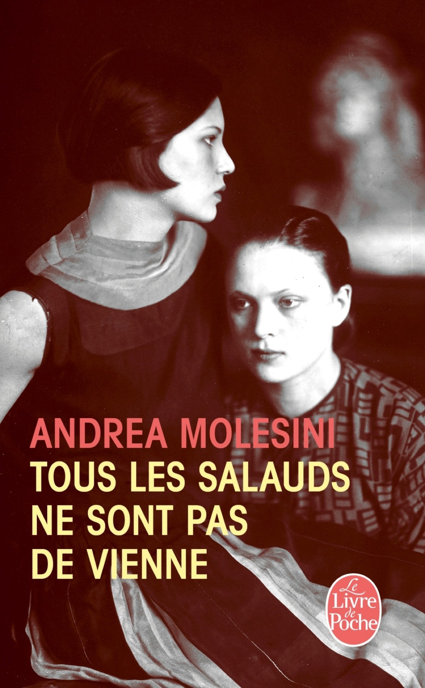 Tous Les Salauds Ne Sont Pas de Vienne (The Livre De Poche) Contemporary literature