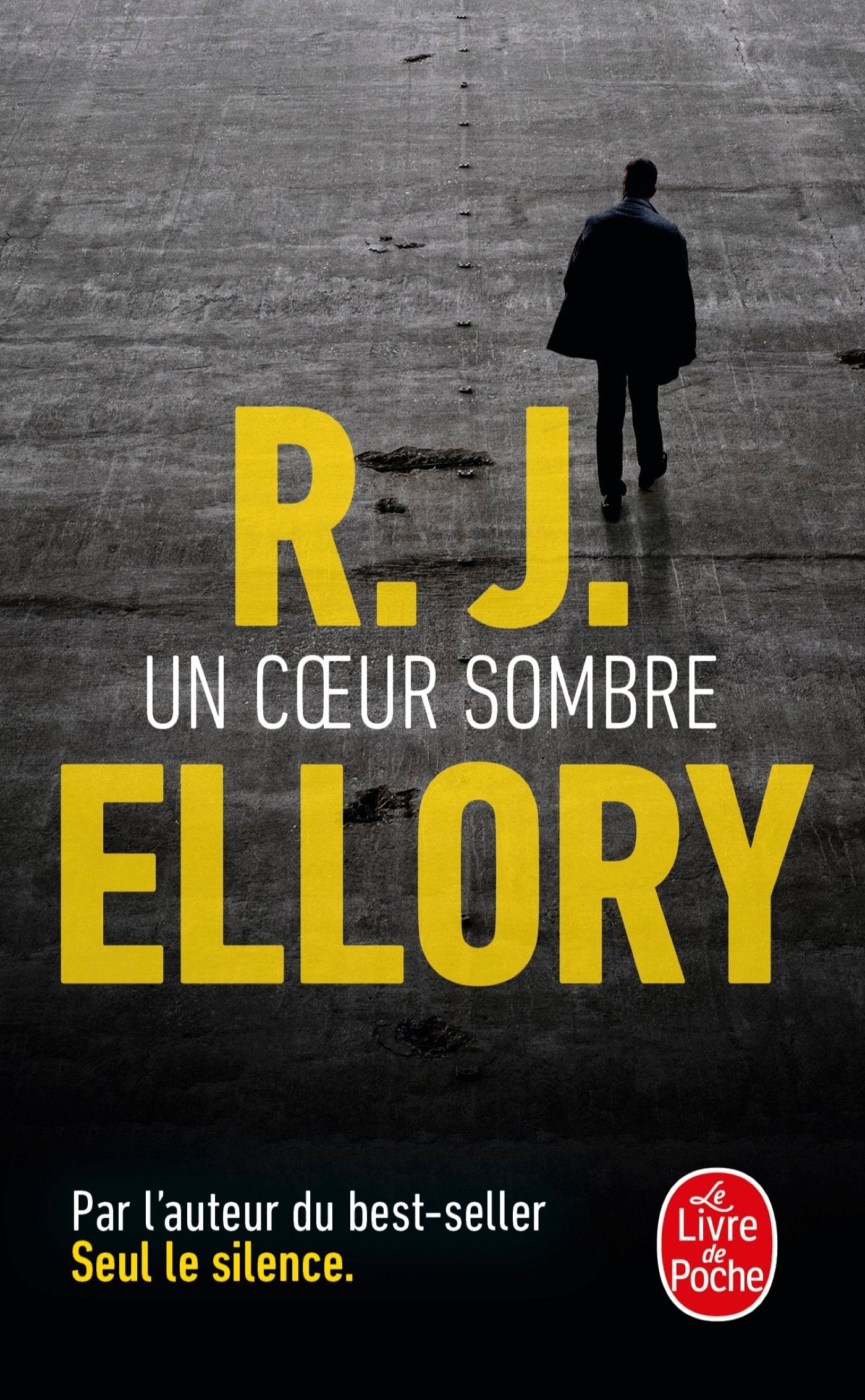 Un coeur sombre: Thriller Contemporary literature