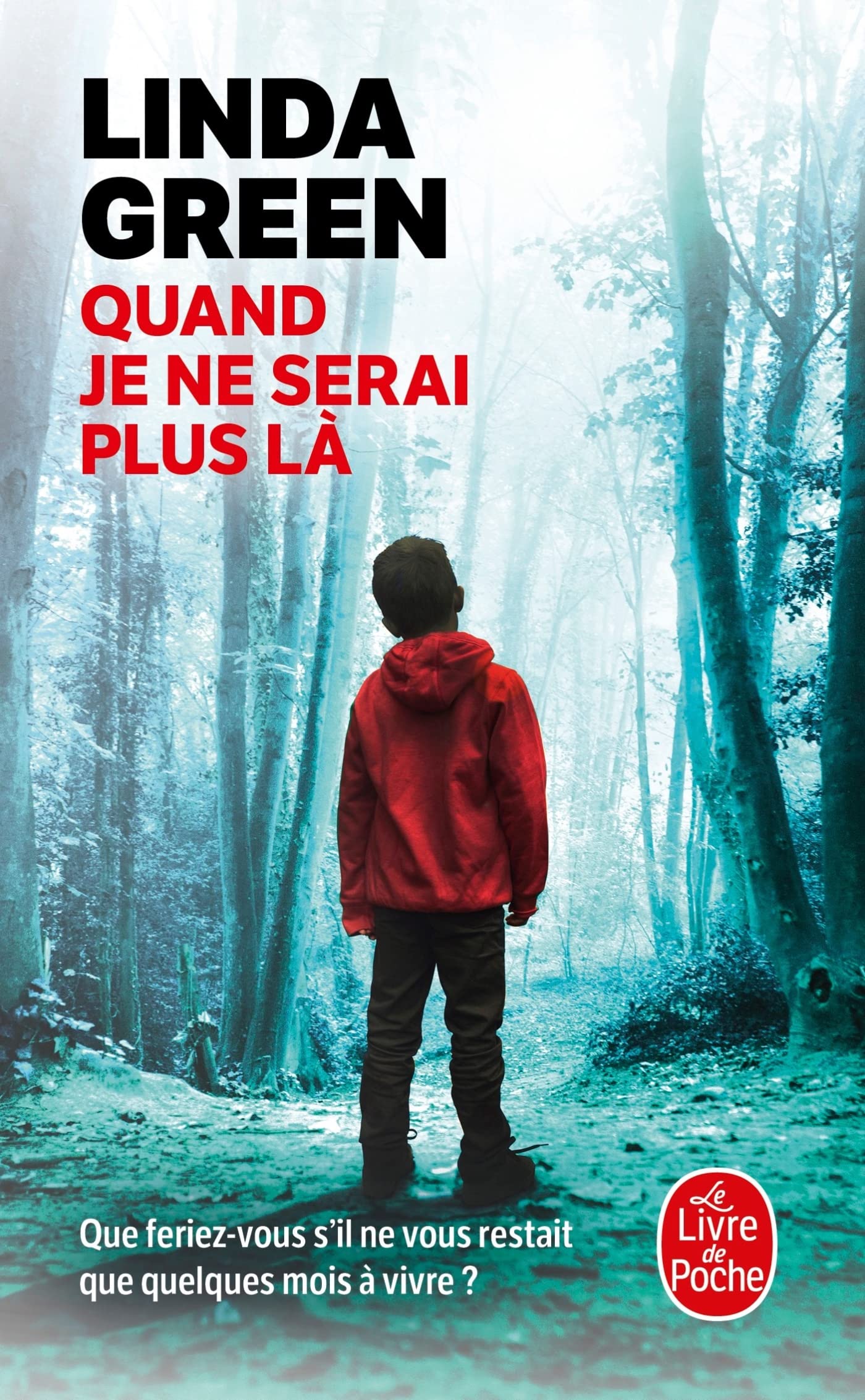 Quand je ne serai plus là book