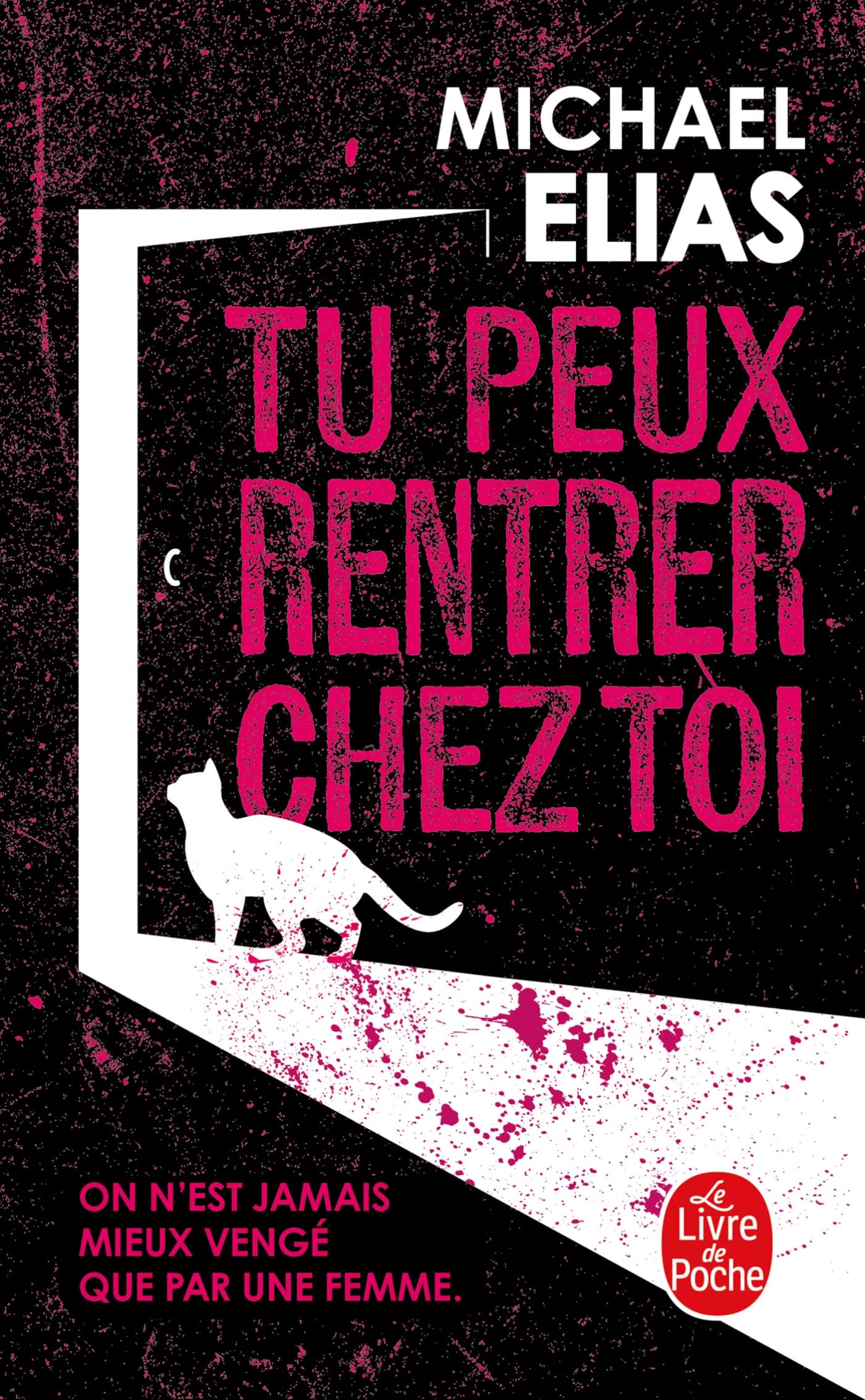 Tu peux rentrer chez toi book
