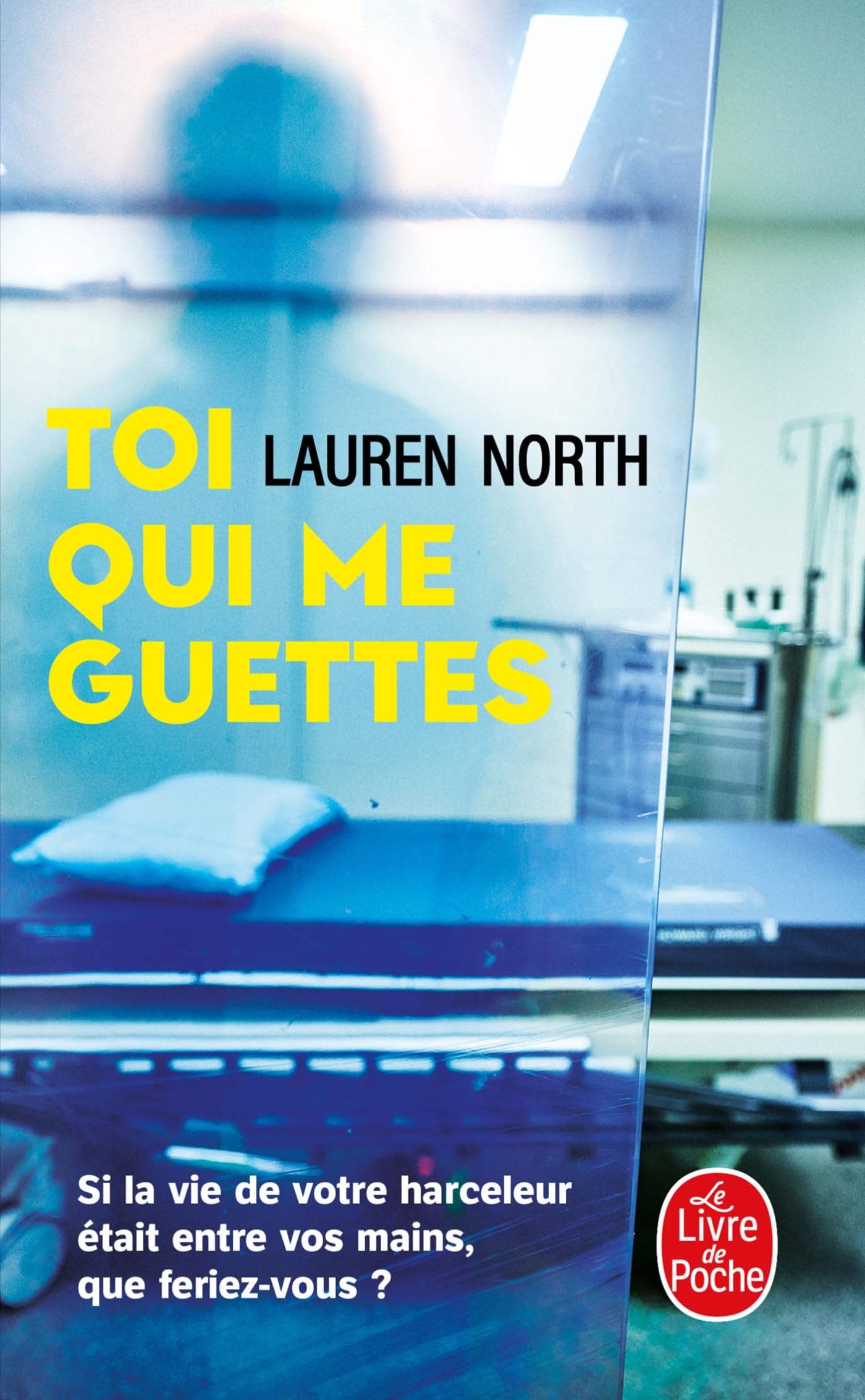 Toi qui me guettes Contemporary literature